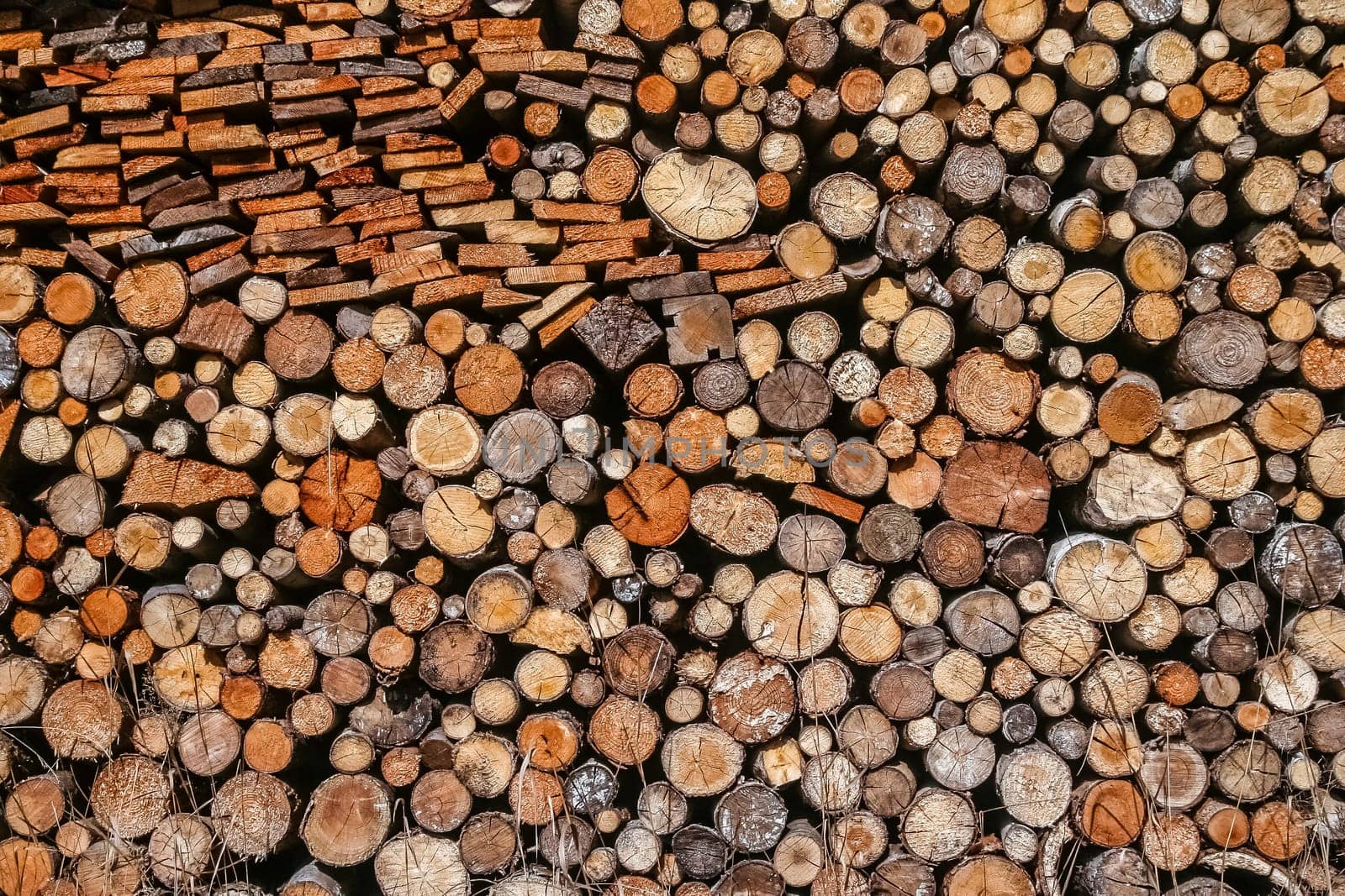 Firewood logs stacked in piles outside cottage