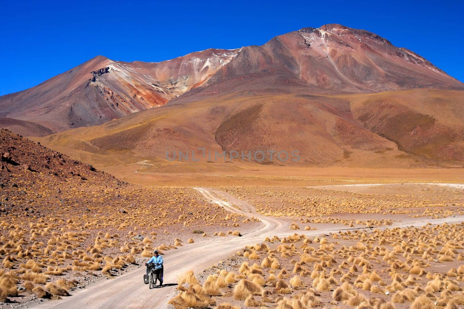 Woman cycling on the sandy road in Altiplano in Bolivia