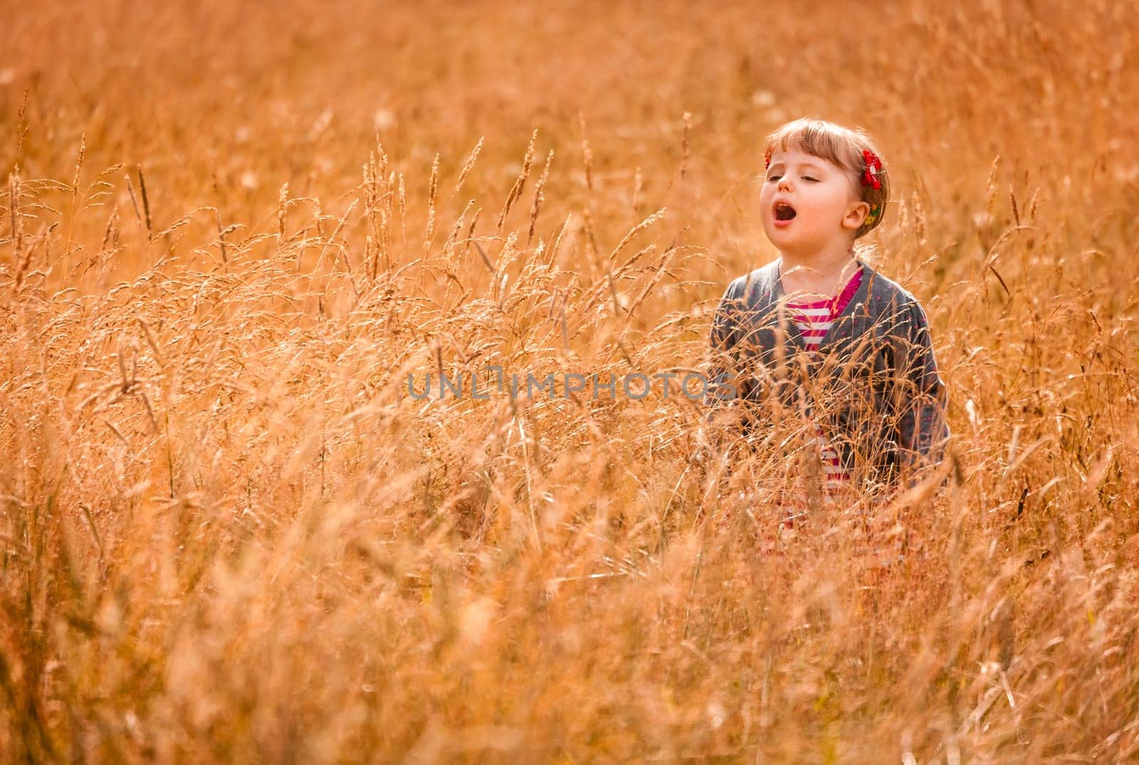 Cute little girl in the high grass in summer
