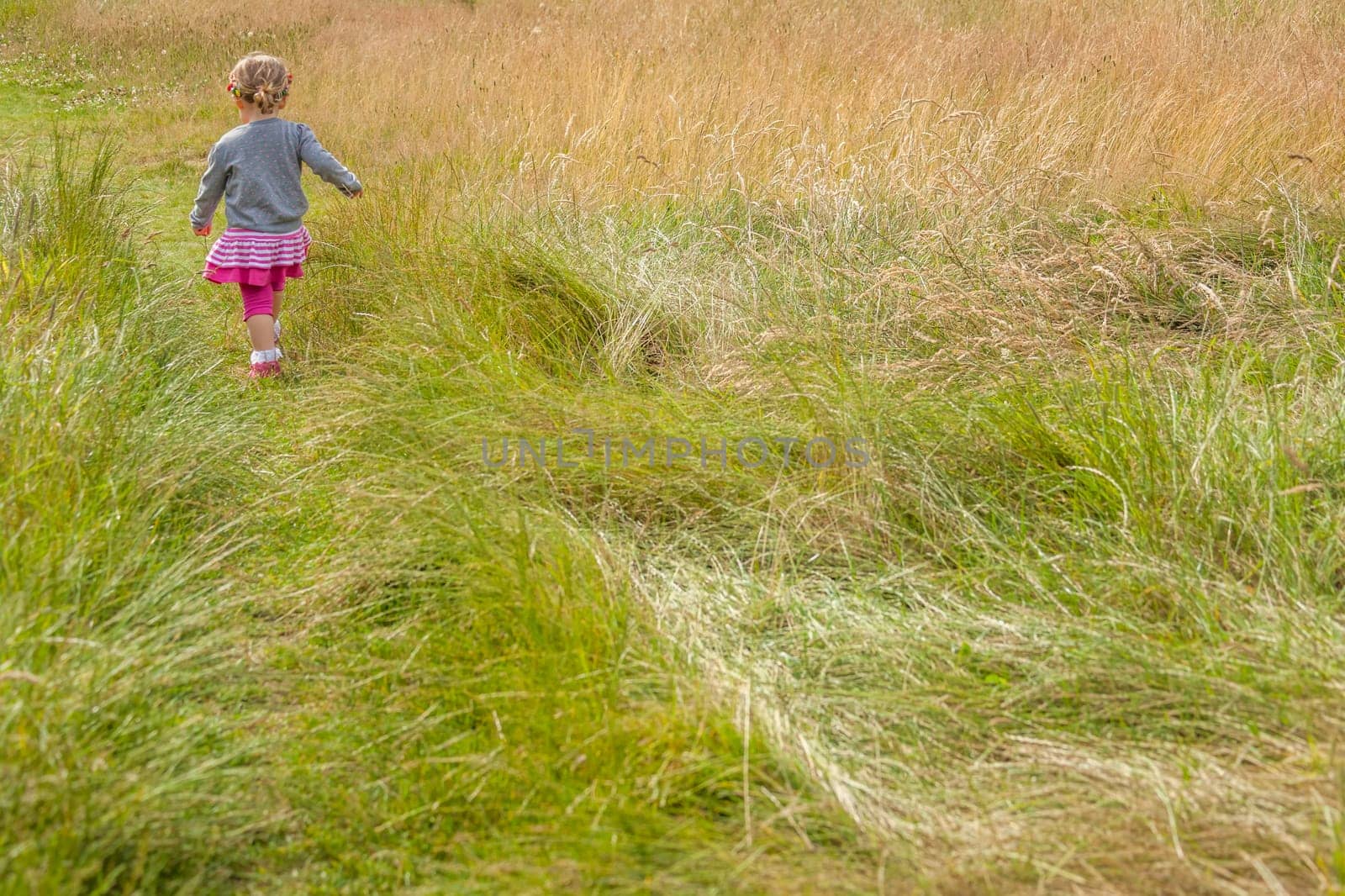 Baby girl walking among the high grass on a meadow in autumn