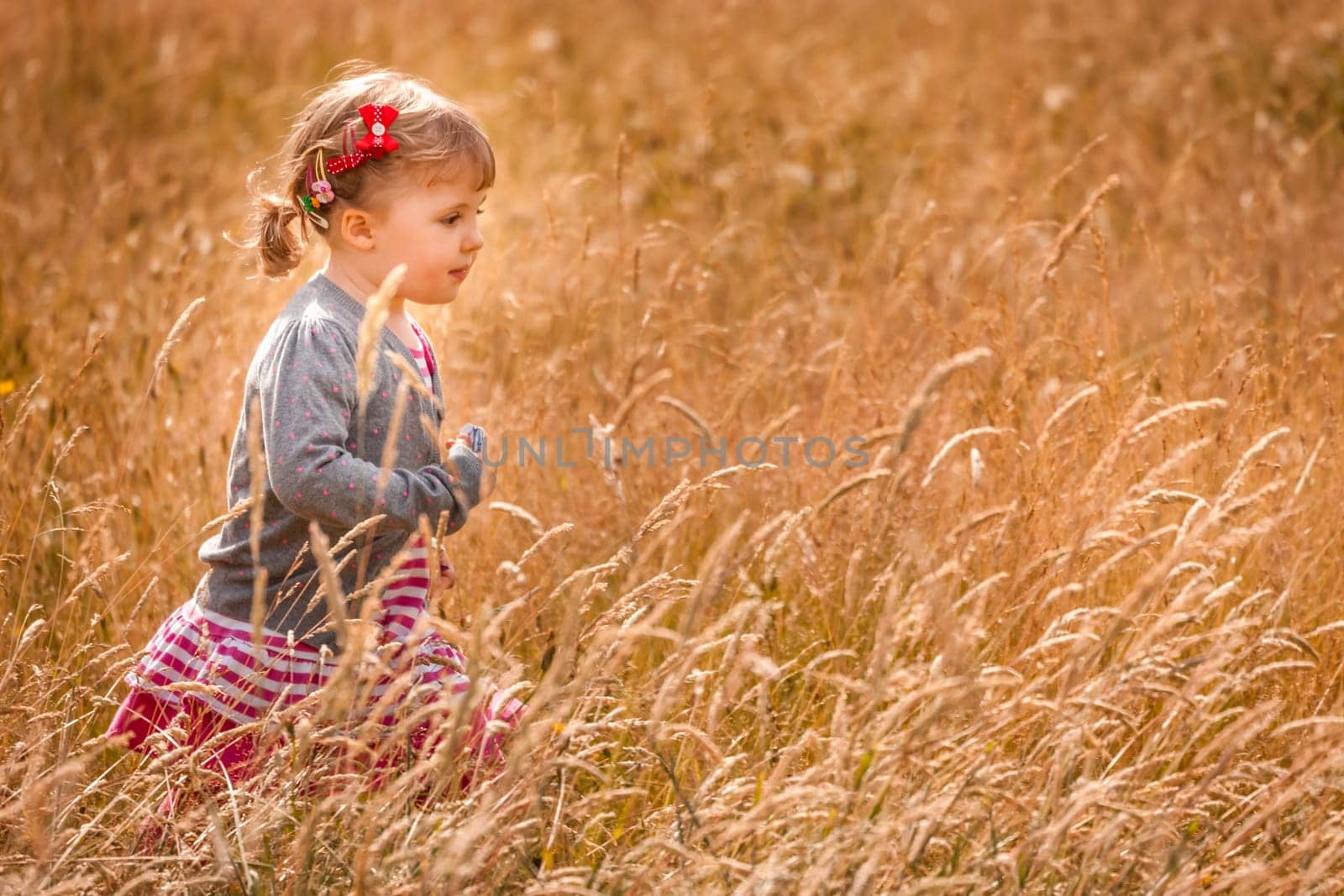 Baby girl walking among the high grass on a meadow in autumn
