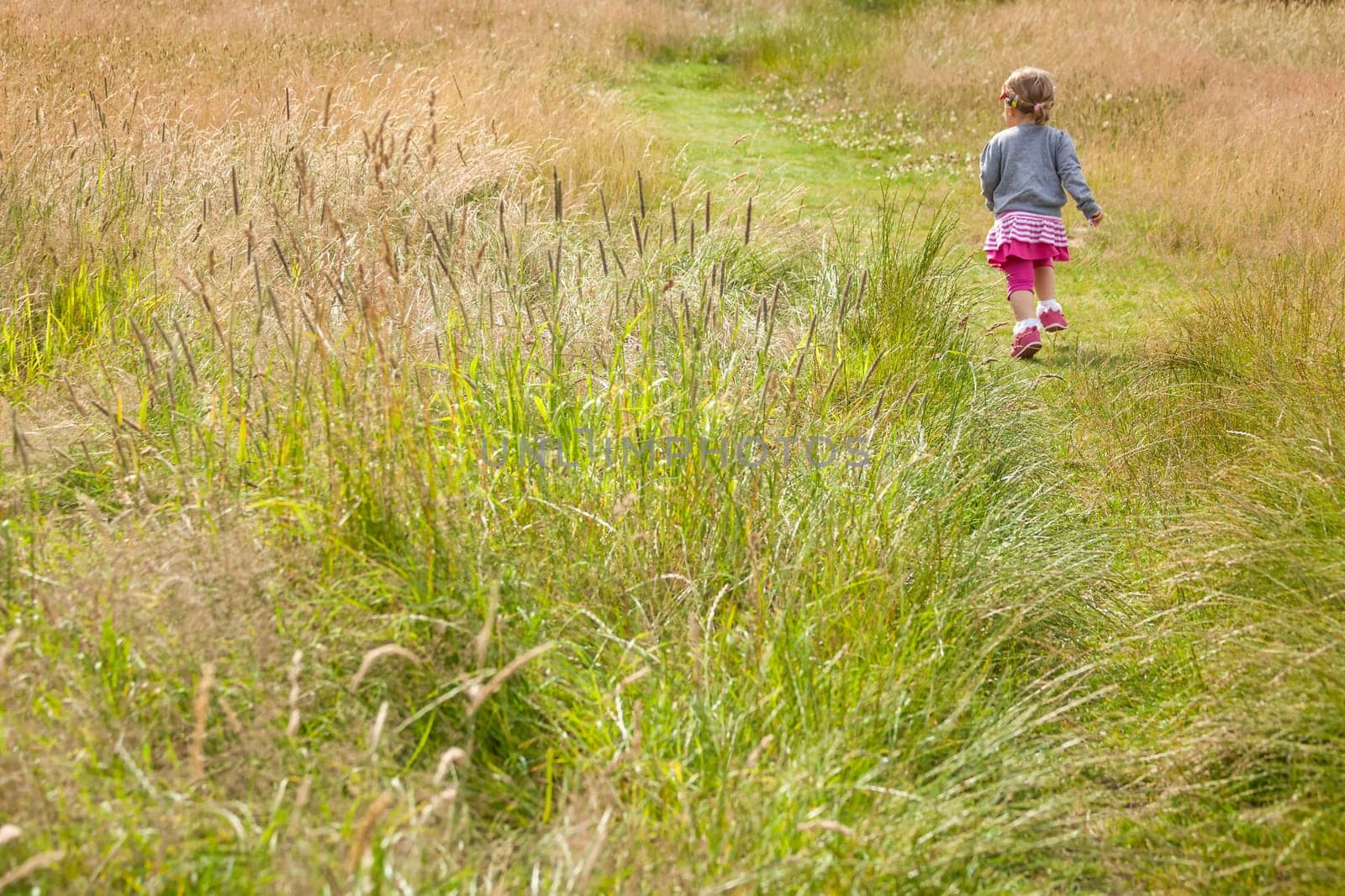 Baby girl walking among the high grass on a meadow in autumn