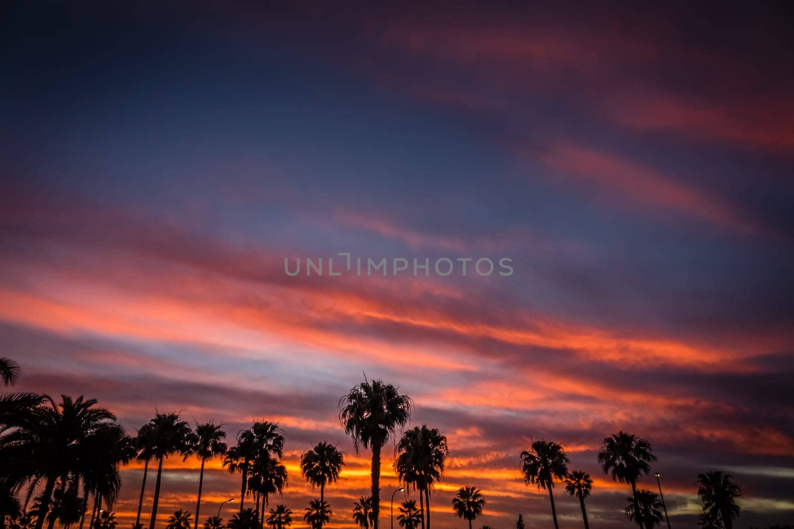 Beautiful sunset in Maspalomas in Gran Canaria, Canary Islands, Spain