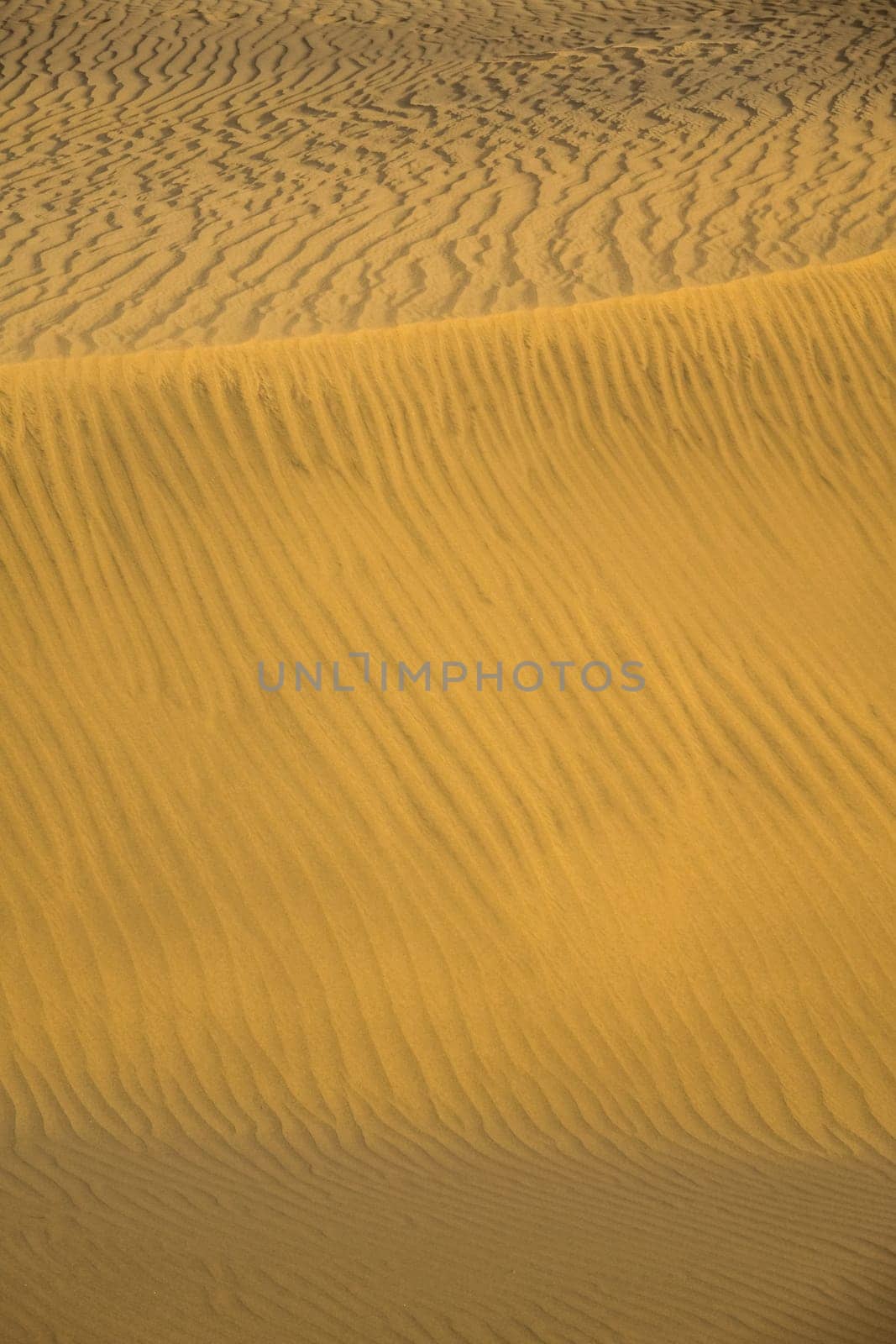 Close up of the stunning sand dunes in the Natural Reserve of Dunes of Maspaloma in Gran Canaria