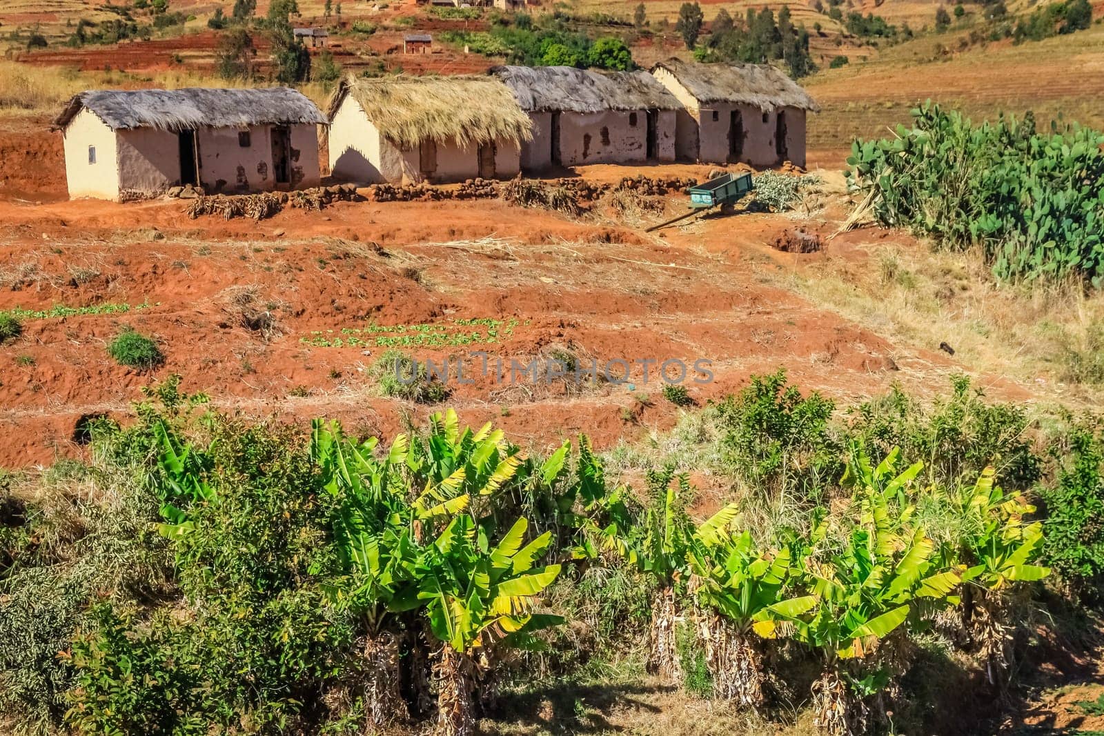 Row of four primitive huts in central plateau in Madagascar