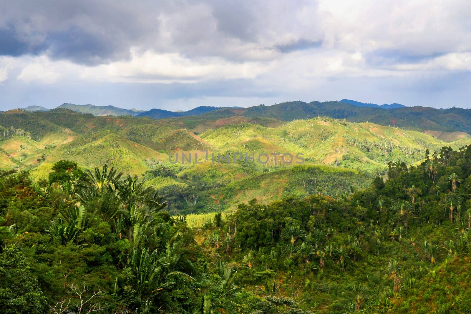 Aerial view of the dense Madagascar rainforest
