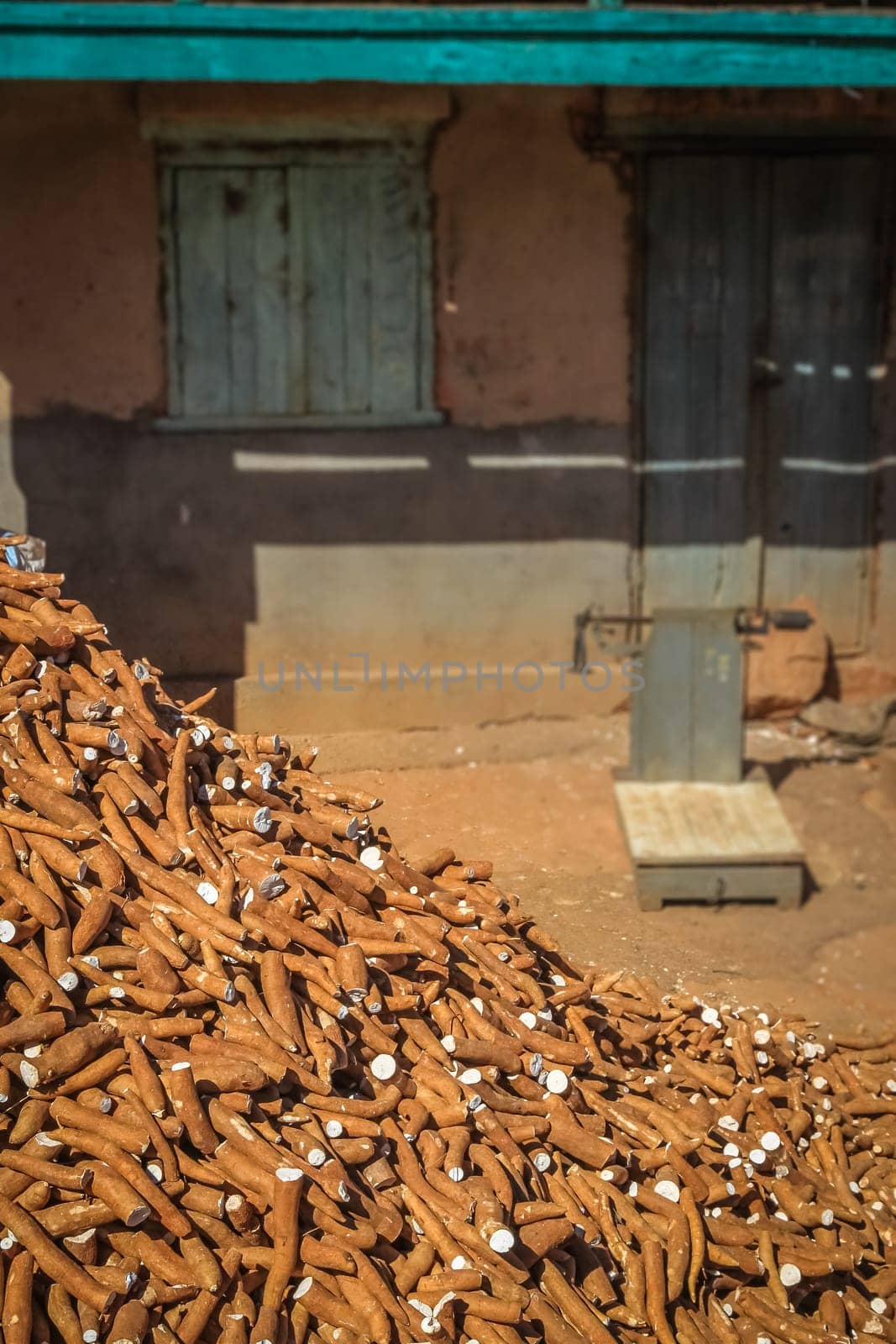 Pile of manioc for sale by kilo on the african market
