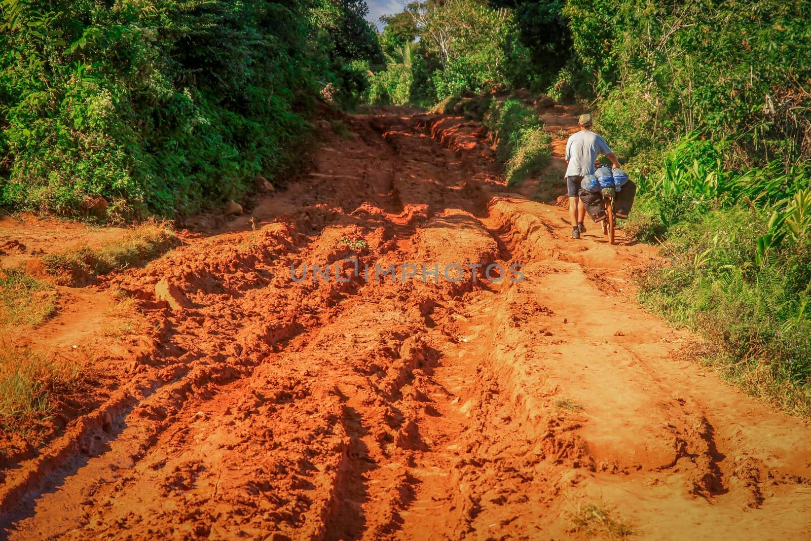 Cyclist struggling with bicycle on difficult jungle track towards Mananara on the Vanilla Coast in Madagascar