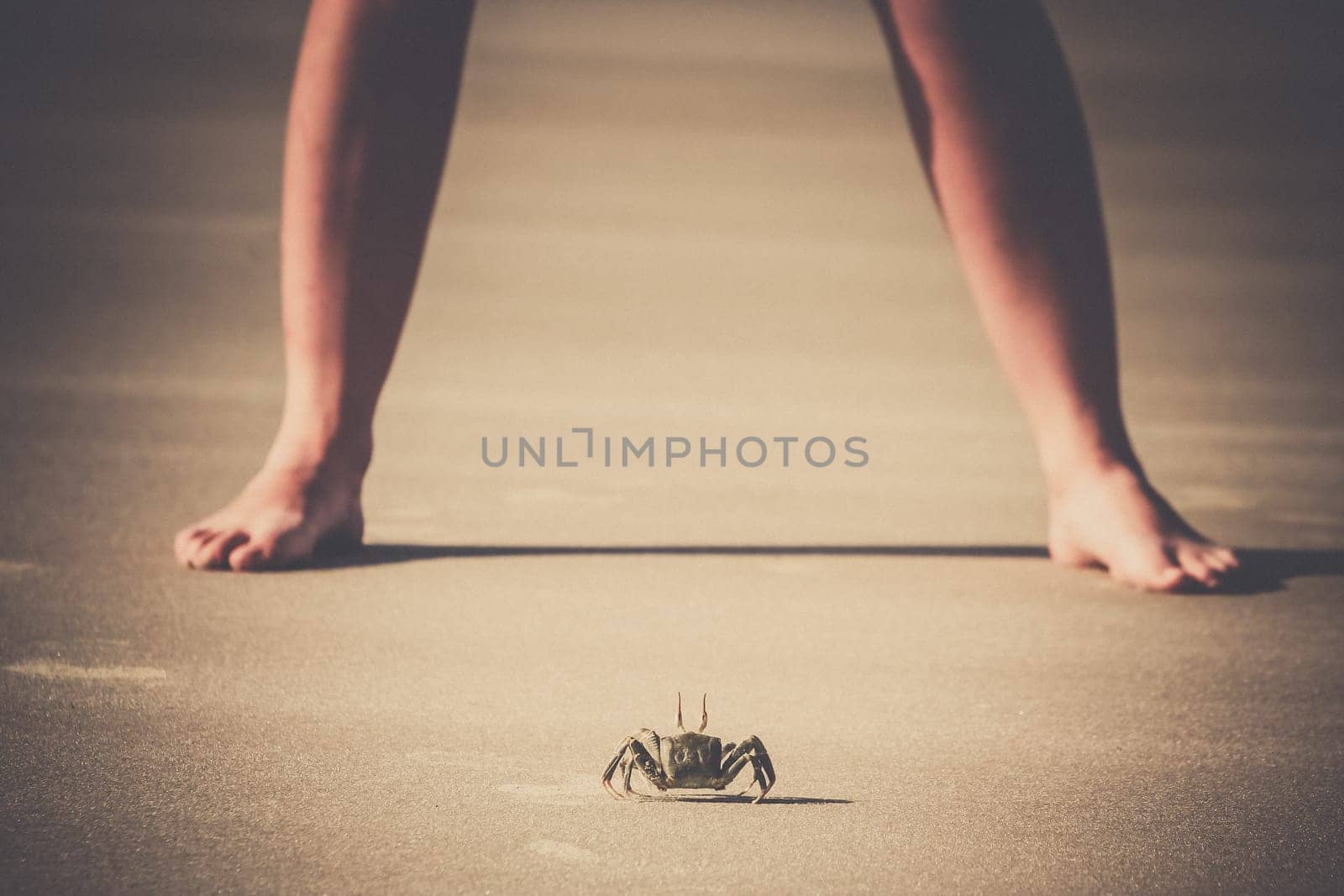 Crab standing in front of a girl on the beach on the Madagascar coast