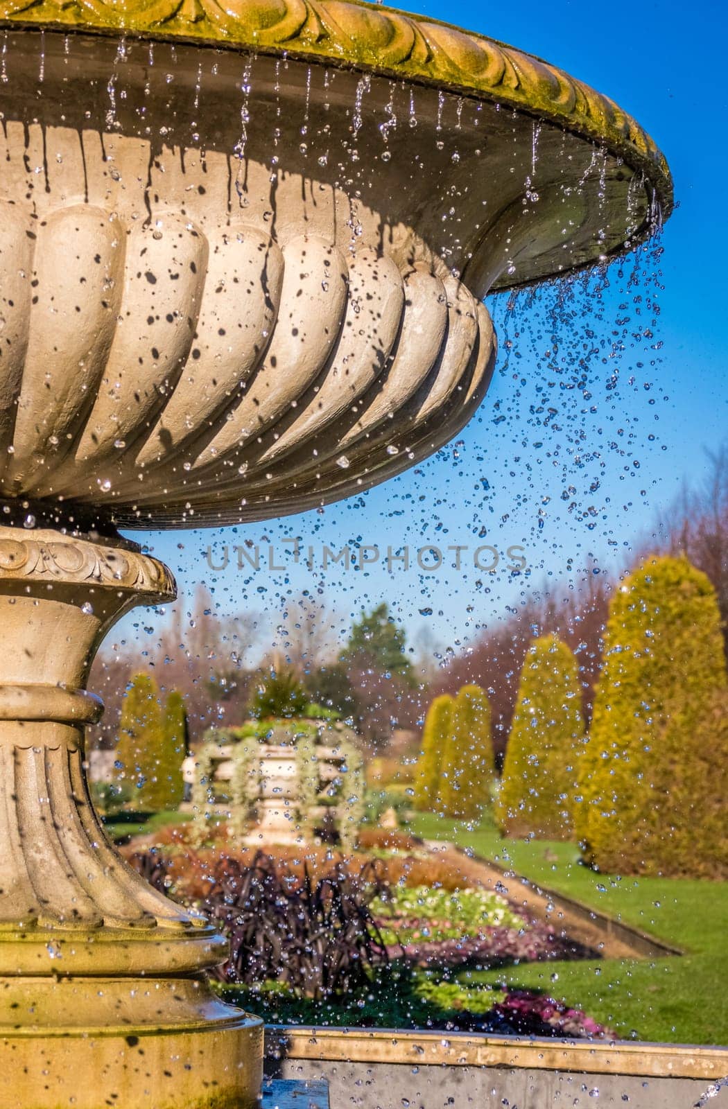 Elegant Fountain in Regents Park