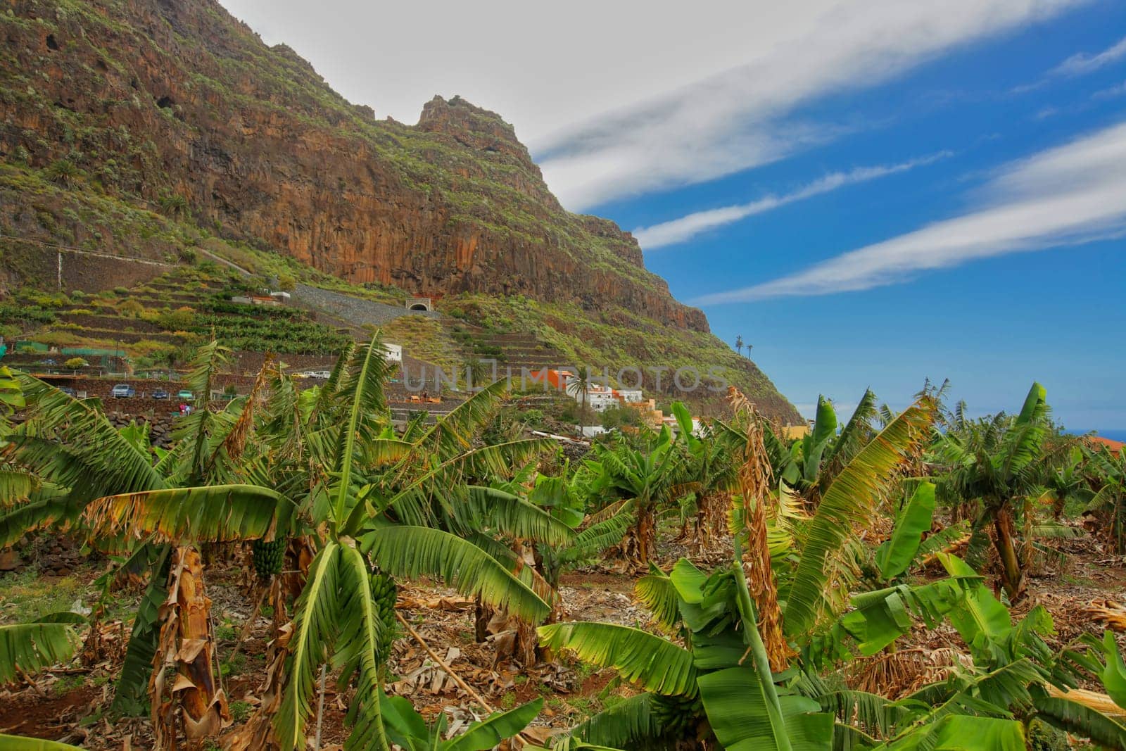 Landscape near Vallehermoso town on the island of La Gomera, Canary Islands, Spain