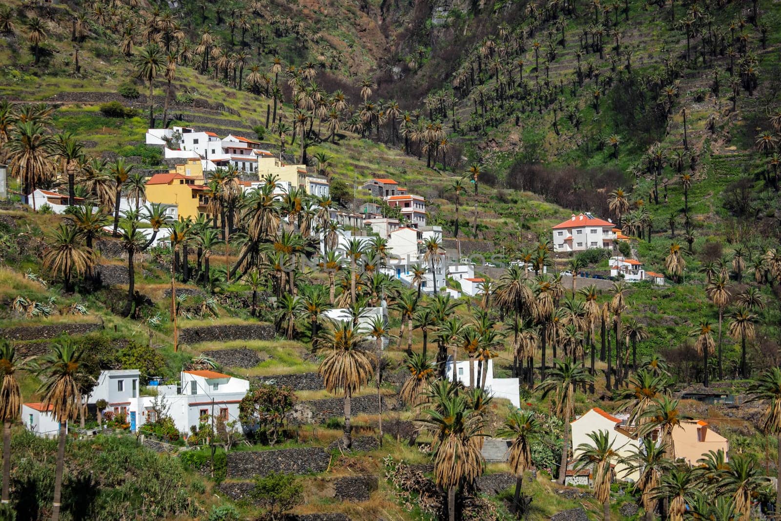 Hillside homes in the Valle Gran Rey on the island of La Gomera, Canary Islands, Spain