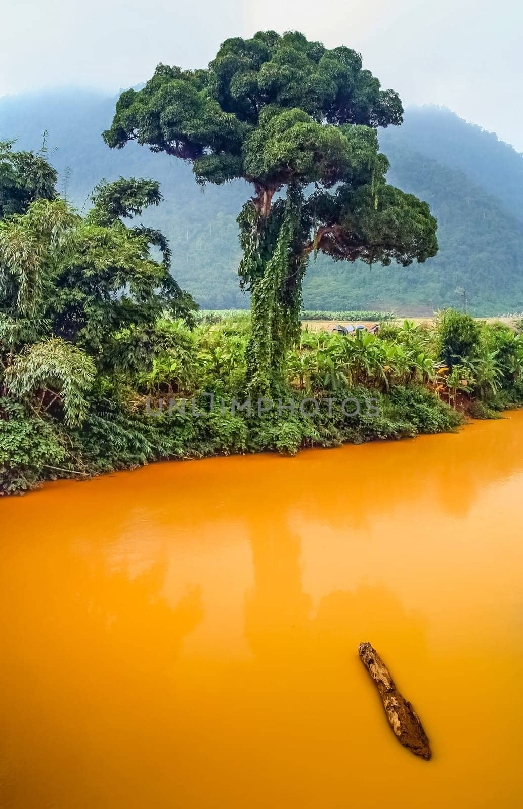 Tropical landscape in xishuabanna region of Yunnan, southern China