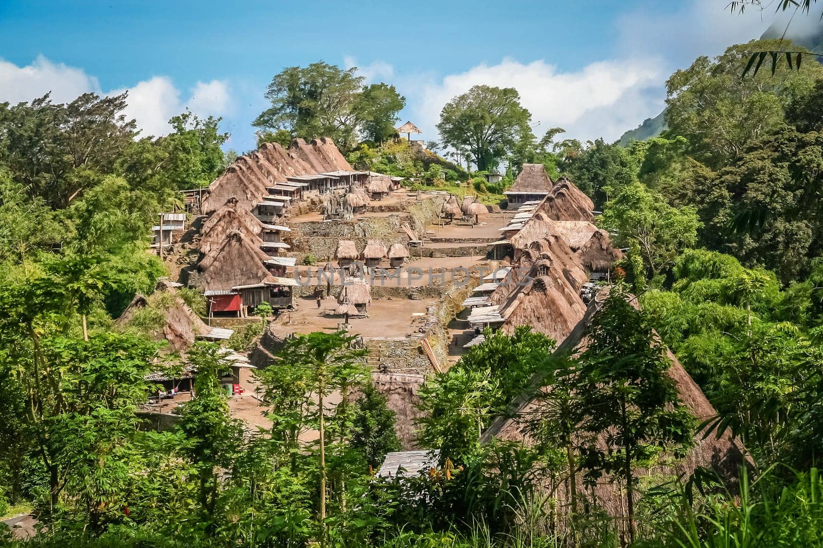 Traditional huts in the Indonesian village Bena on Flores island, Indonesia