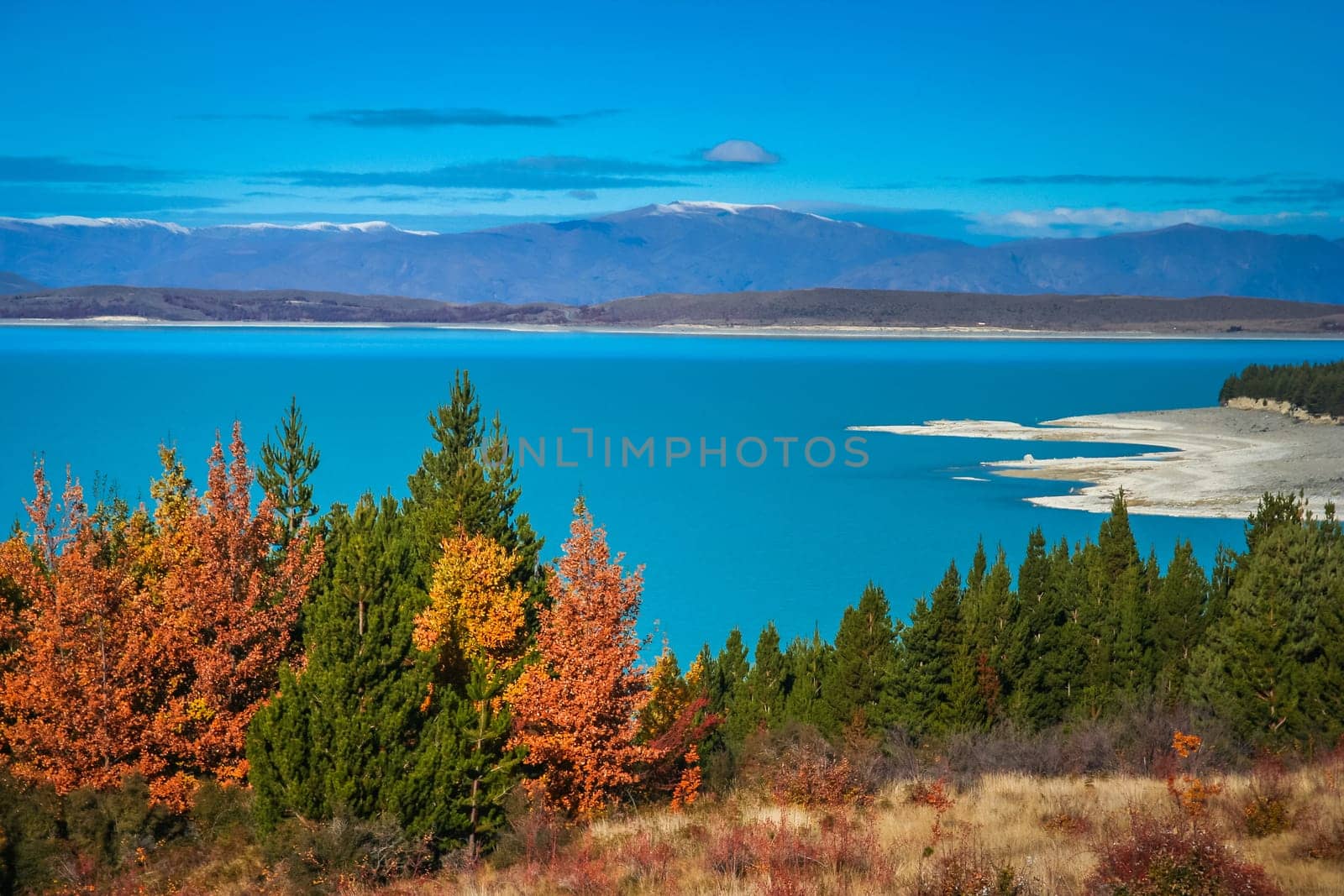 Color of autumn on the New Zealand south island