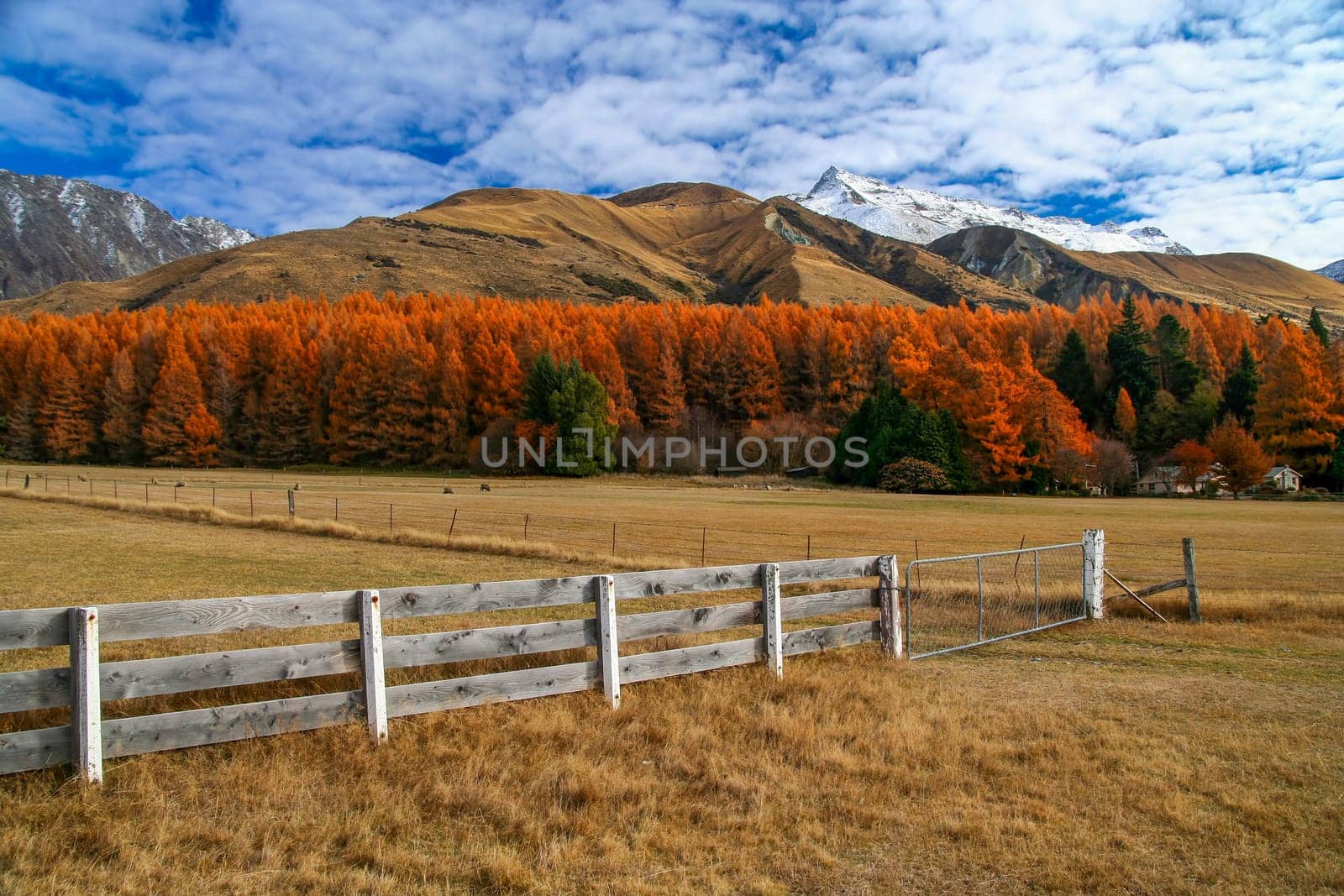 Beautiful rural mountain scenery on road to Mt Cook in New Zealand