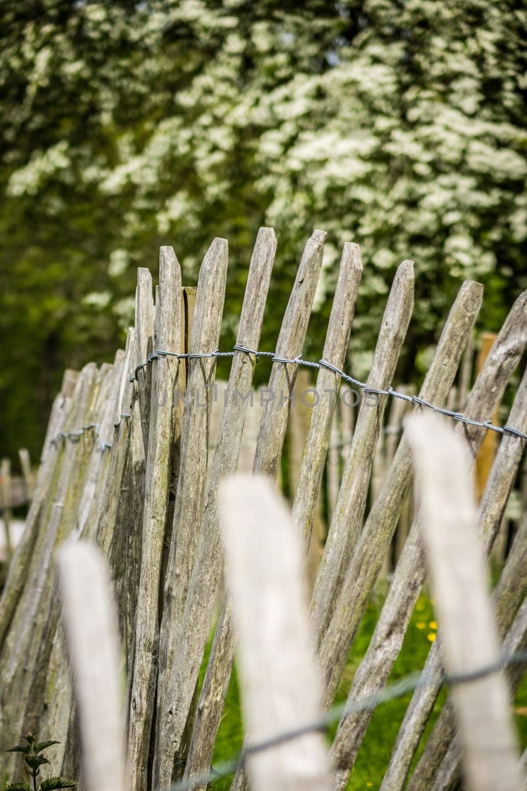 Close up of an old wooden fence