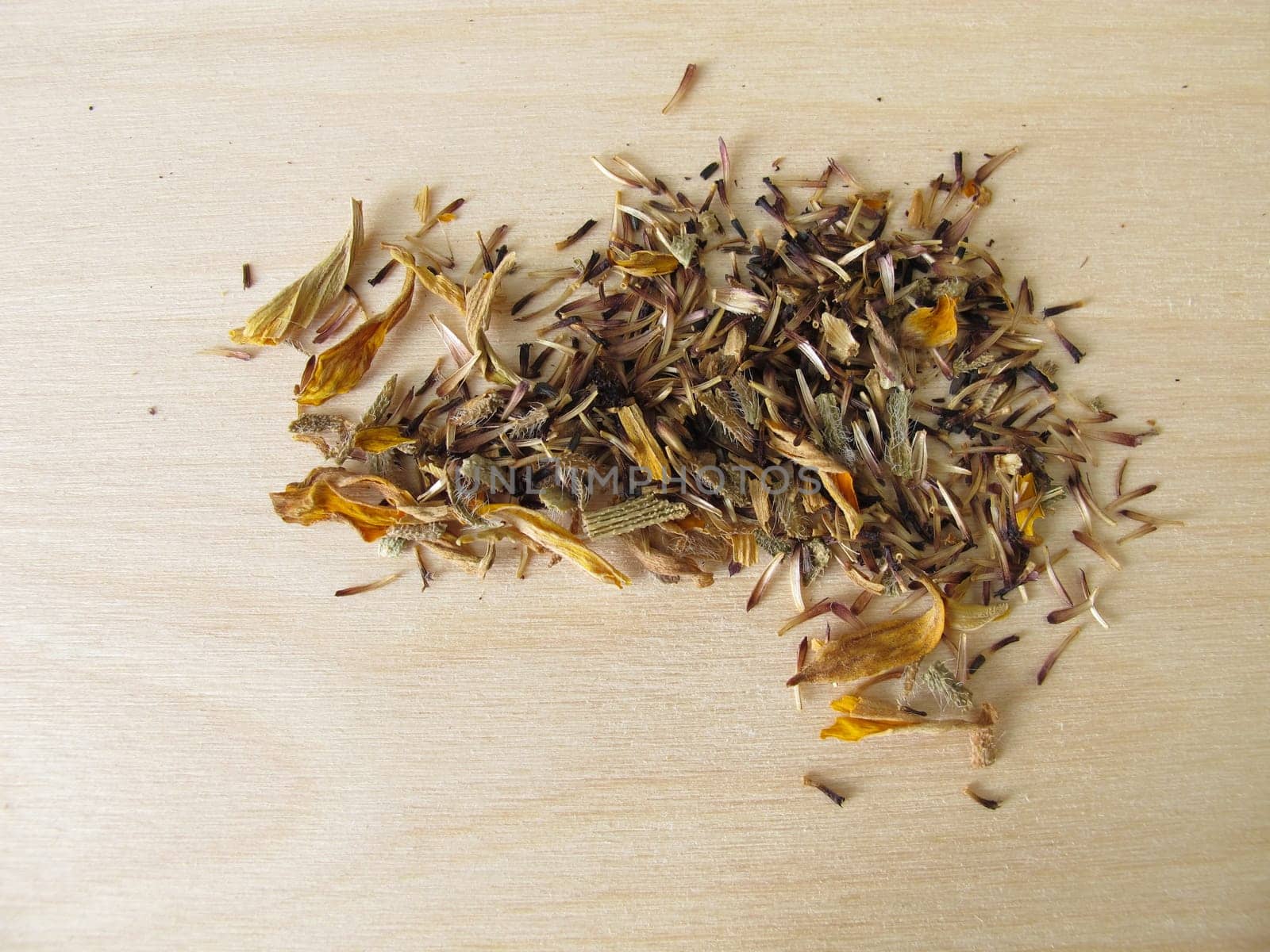 Self-extracted seeds of coneflower flowers