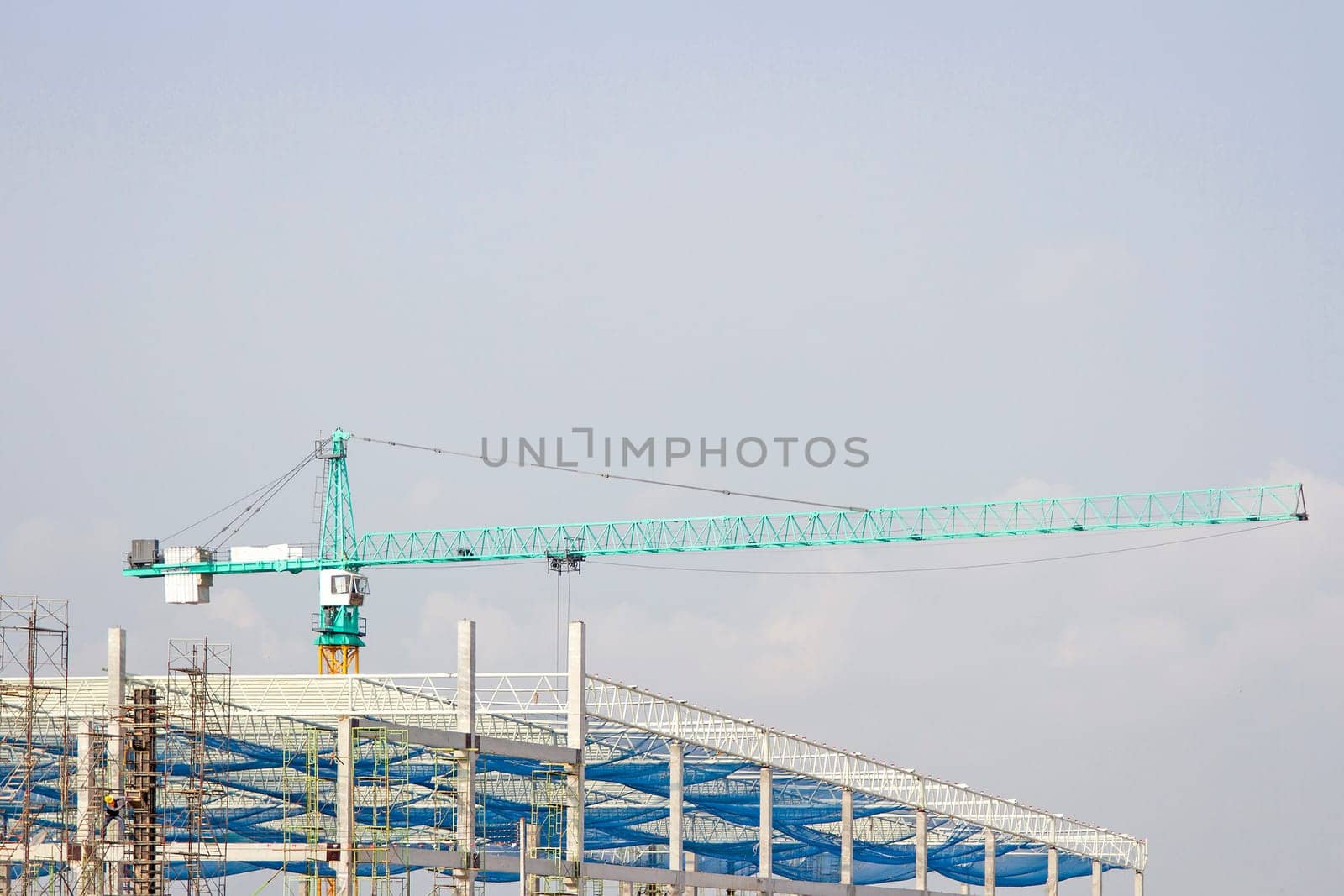 Cranes in green on  daylight and working