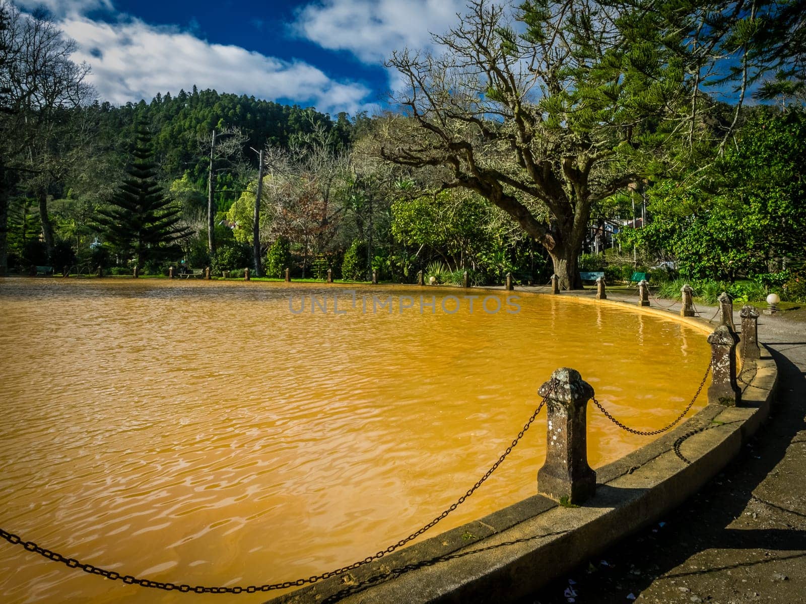 Ferruginous hot water spring pool in Furnas,  Sao Miguel Island, Azores, Portugal
