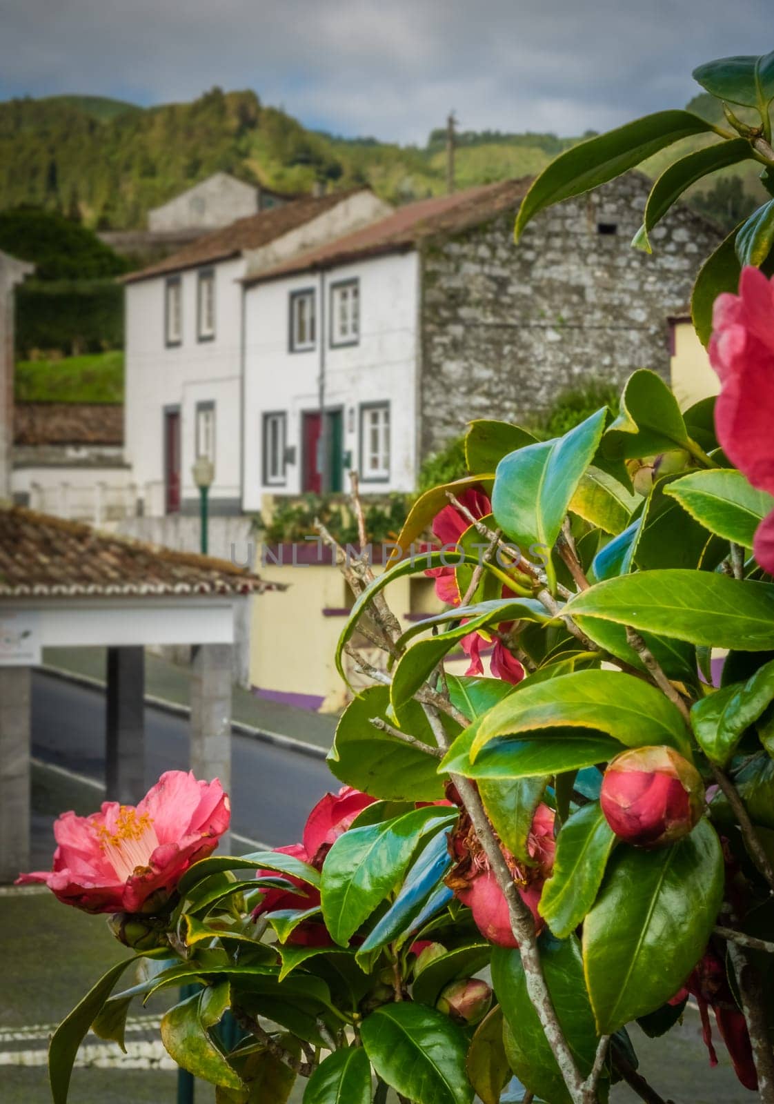 Traditional homes in Furnas town, which lies in the volacano crater, Sao Miguel, Azores, Portugal