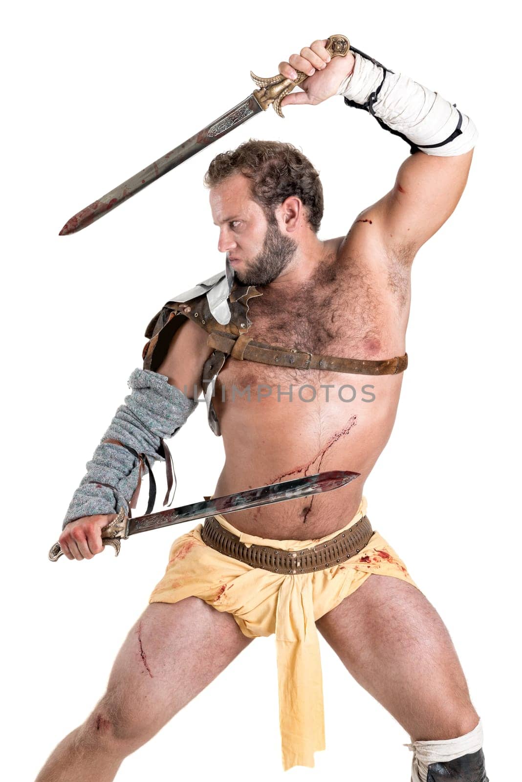 Ancient warrior or Gladiator isolated in a white background