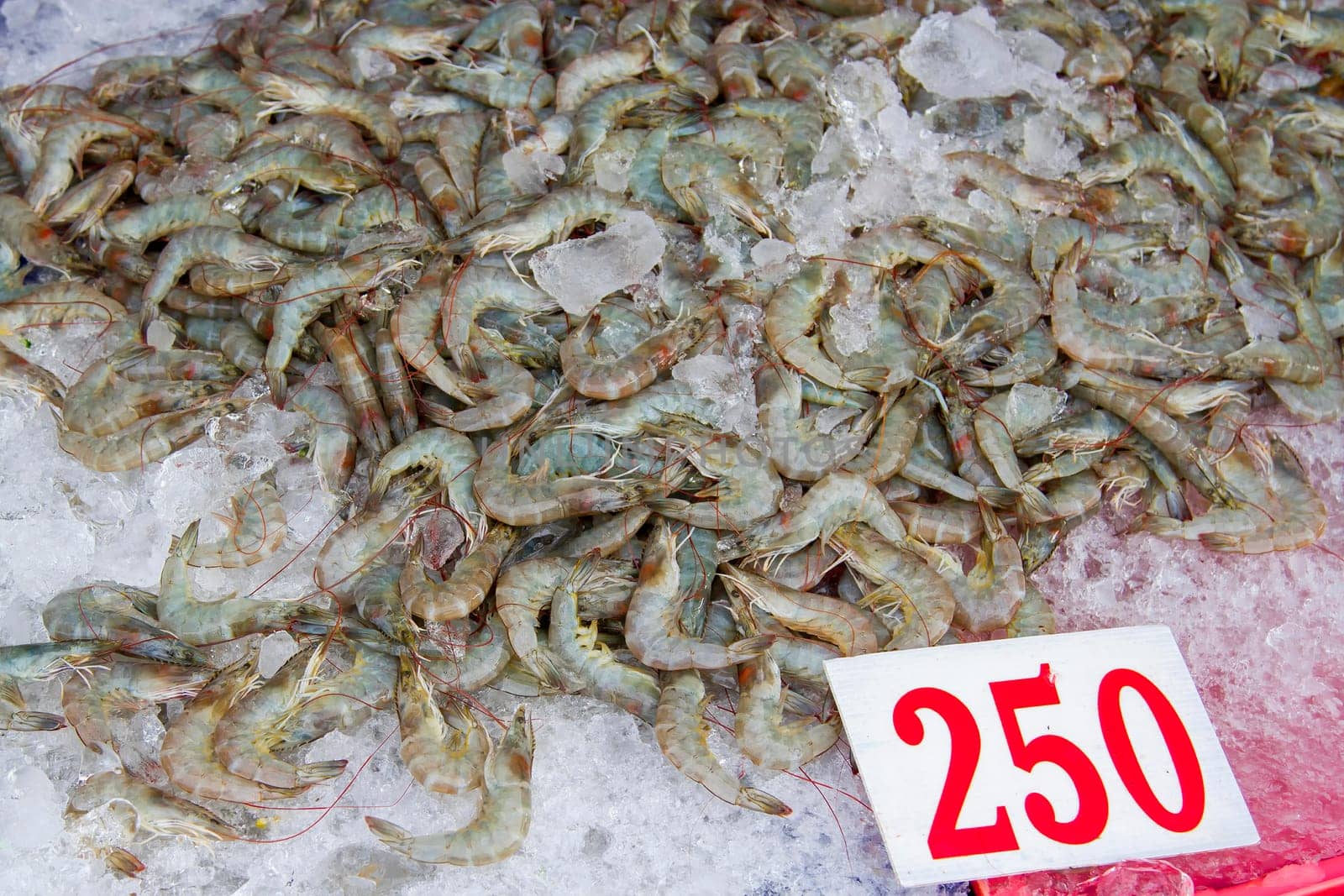 Fresh shrimps soaked in ice in a blue tray.