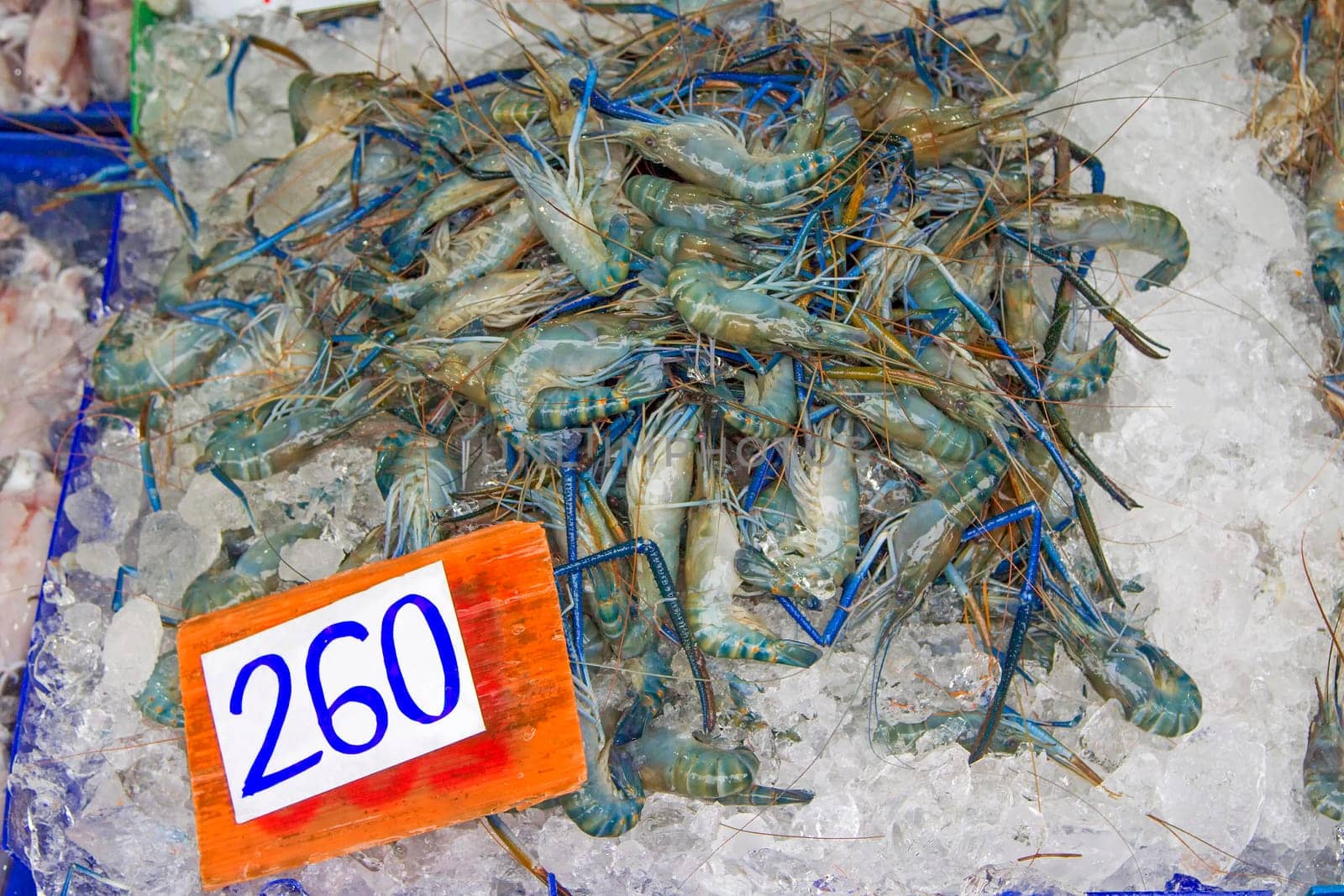 Many live freshwater prawns In the ice Price tag (baht)