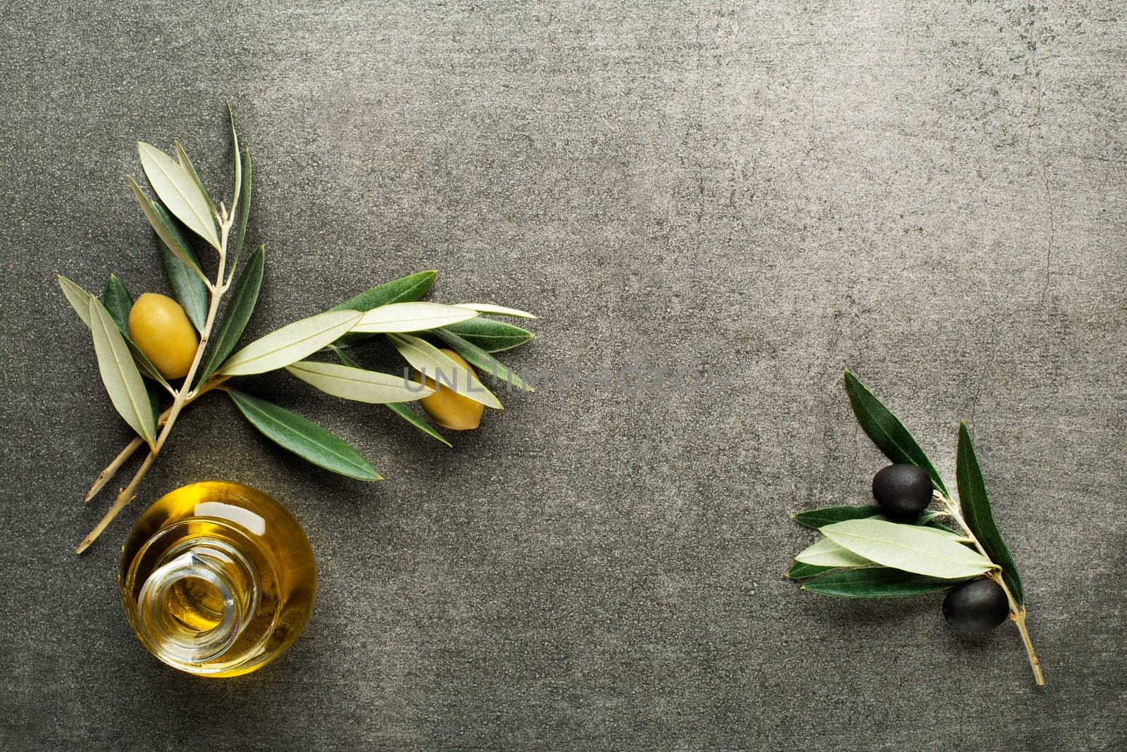 Olive oil and olive branch on gray background
