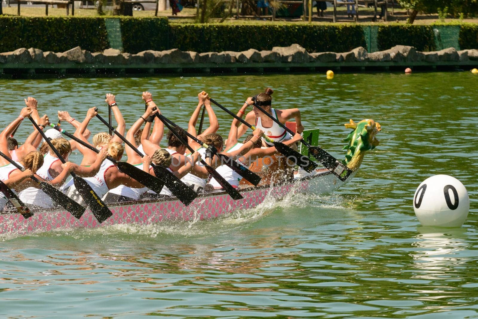 Rome, Italy - July 30, 2016: Dragon boat crews  compete at the european championships held in Italy in 2016 summer, , in the photo the Hungary crew  during the race