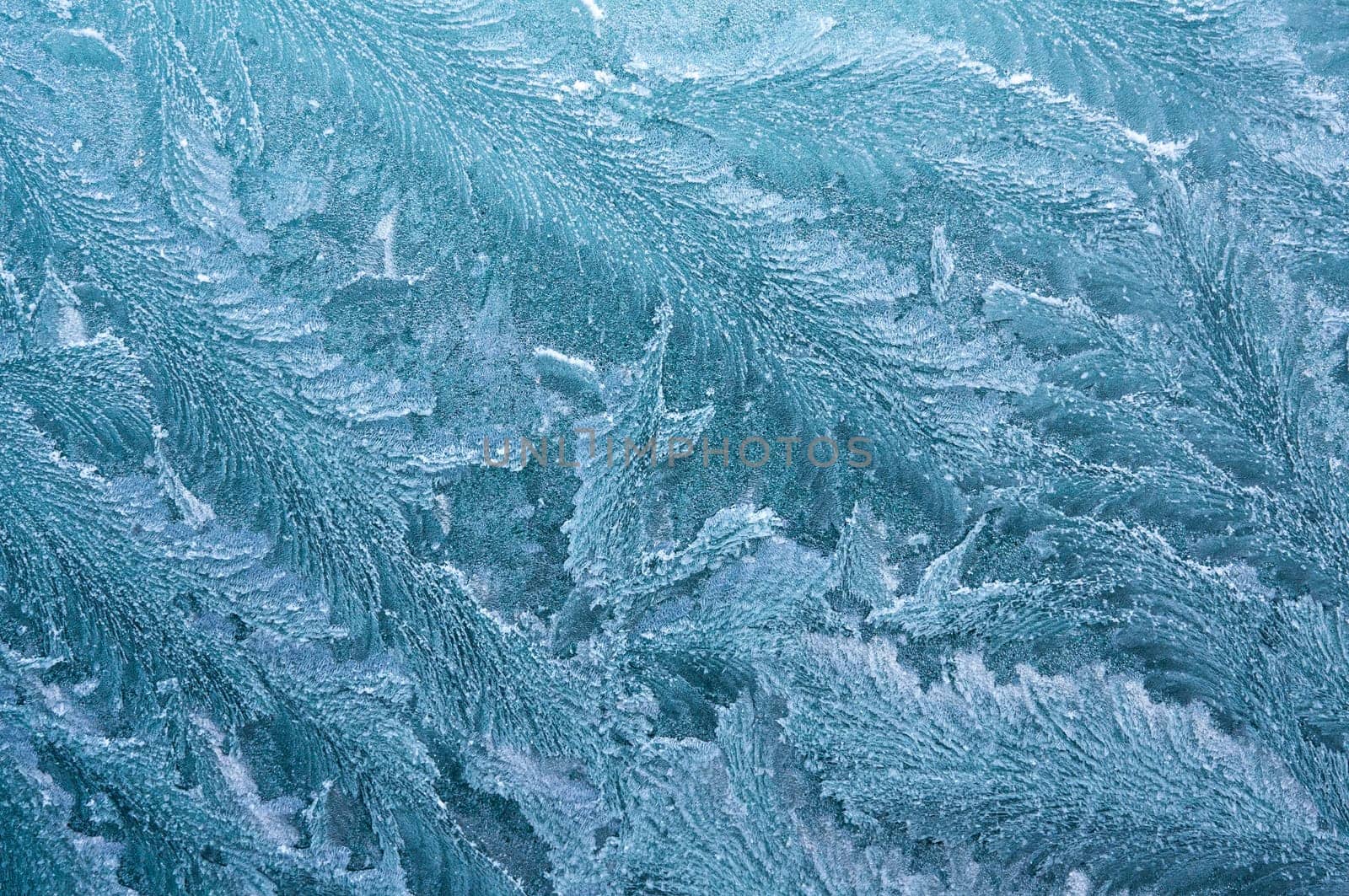 Iceflowers, frozen.The ice-cold frost forms ice crystals in beautiful unique patterns