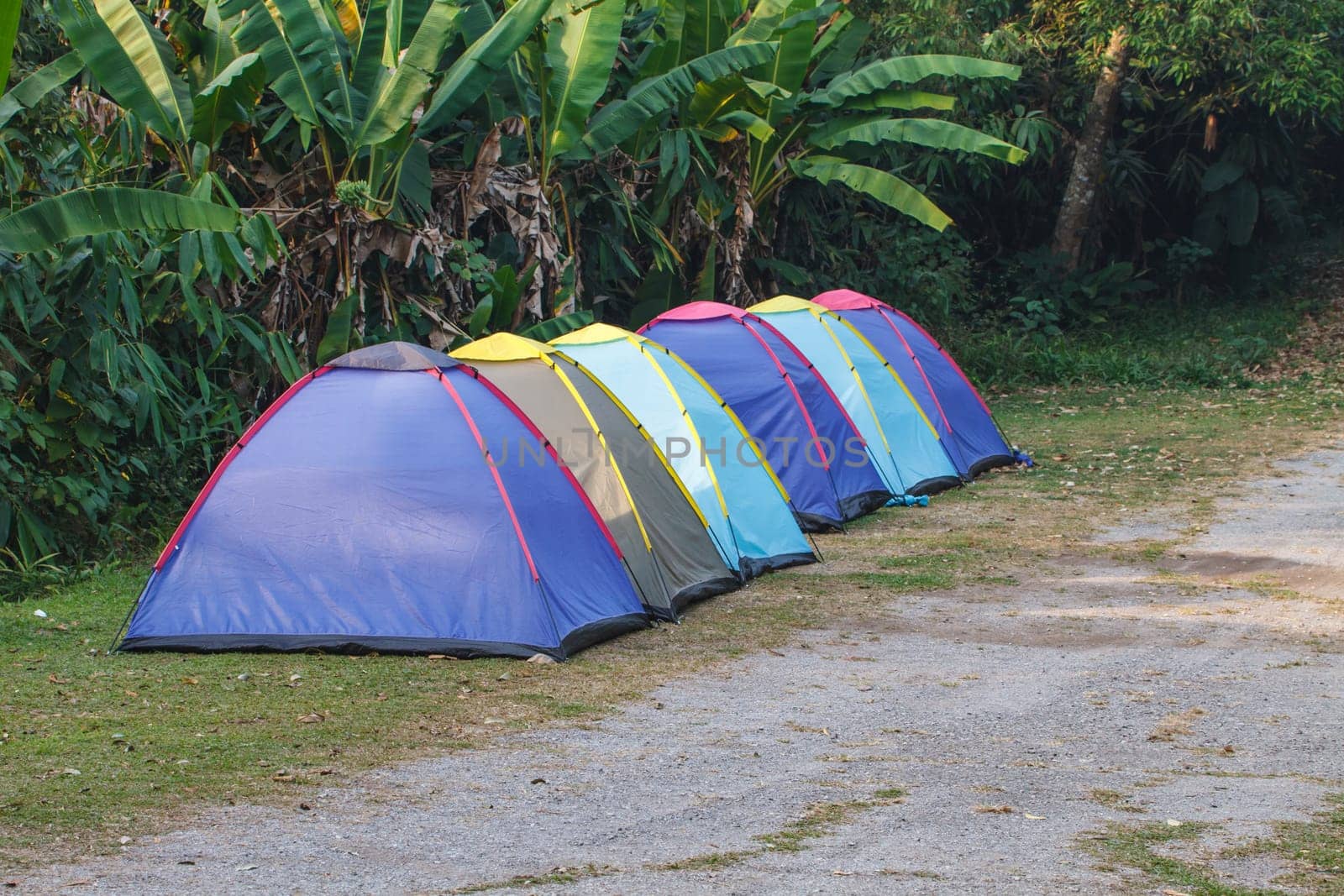 Camping in the wilderness, tent on campground in morning