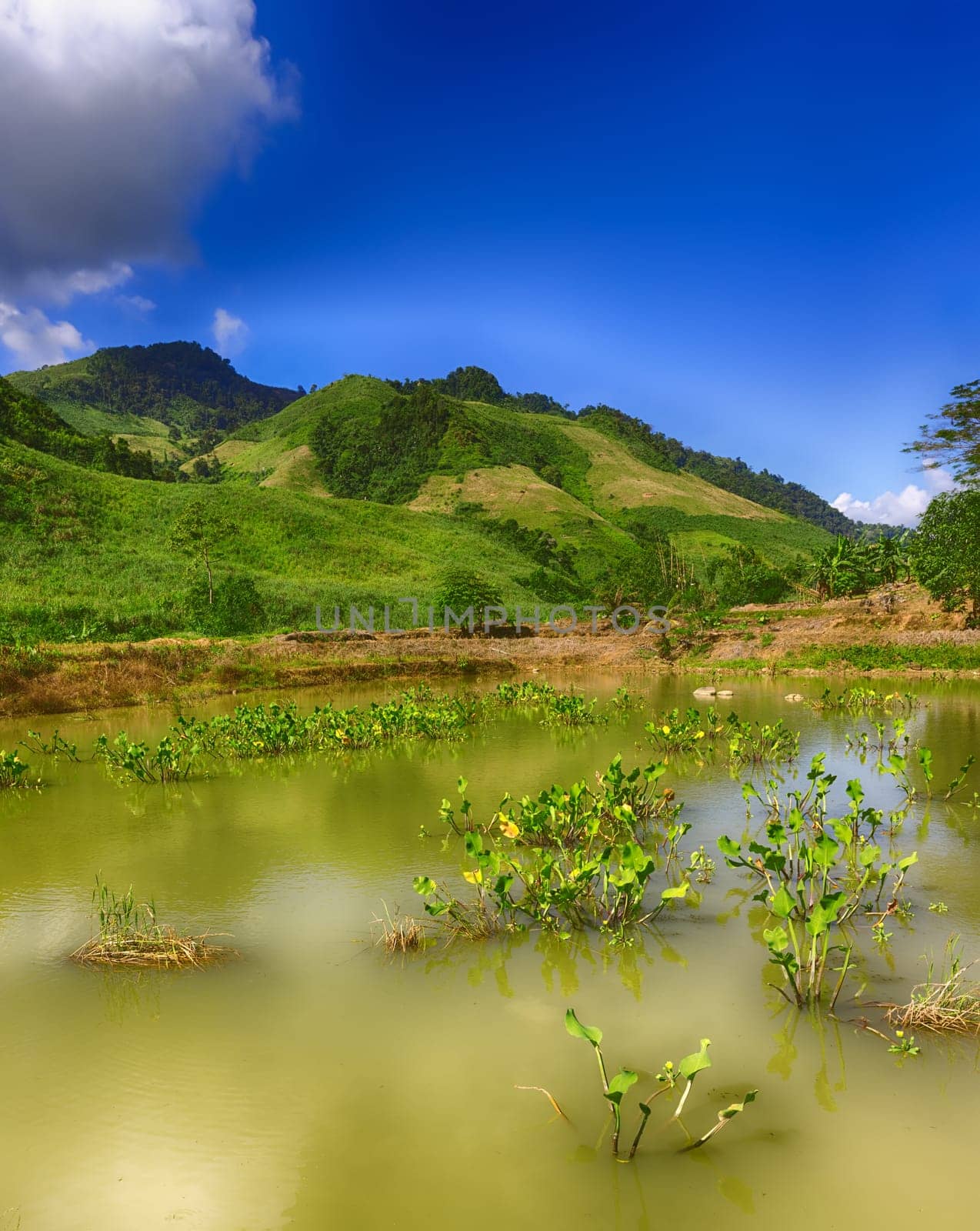 Beautiful landscape, pond on the foreground. Vang Vieng, Laos.