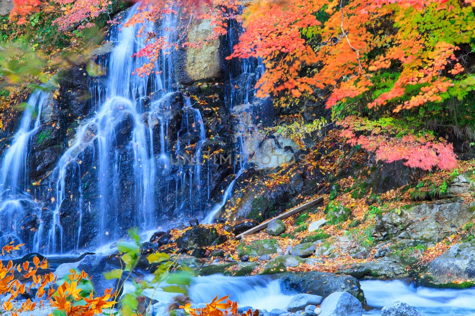 The Beautiful autumn leaves and sky background in fall season