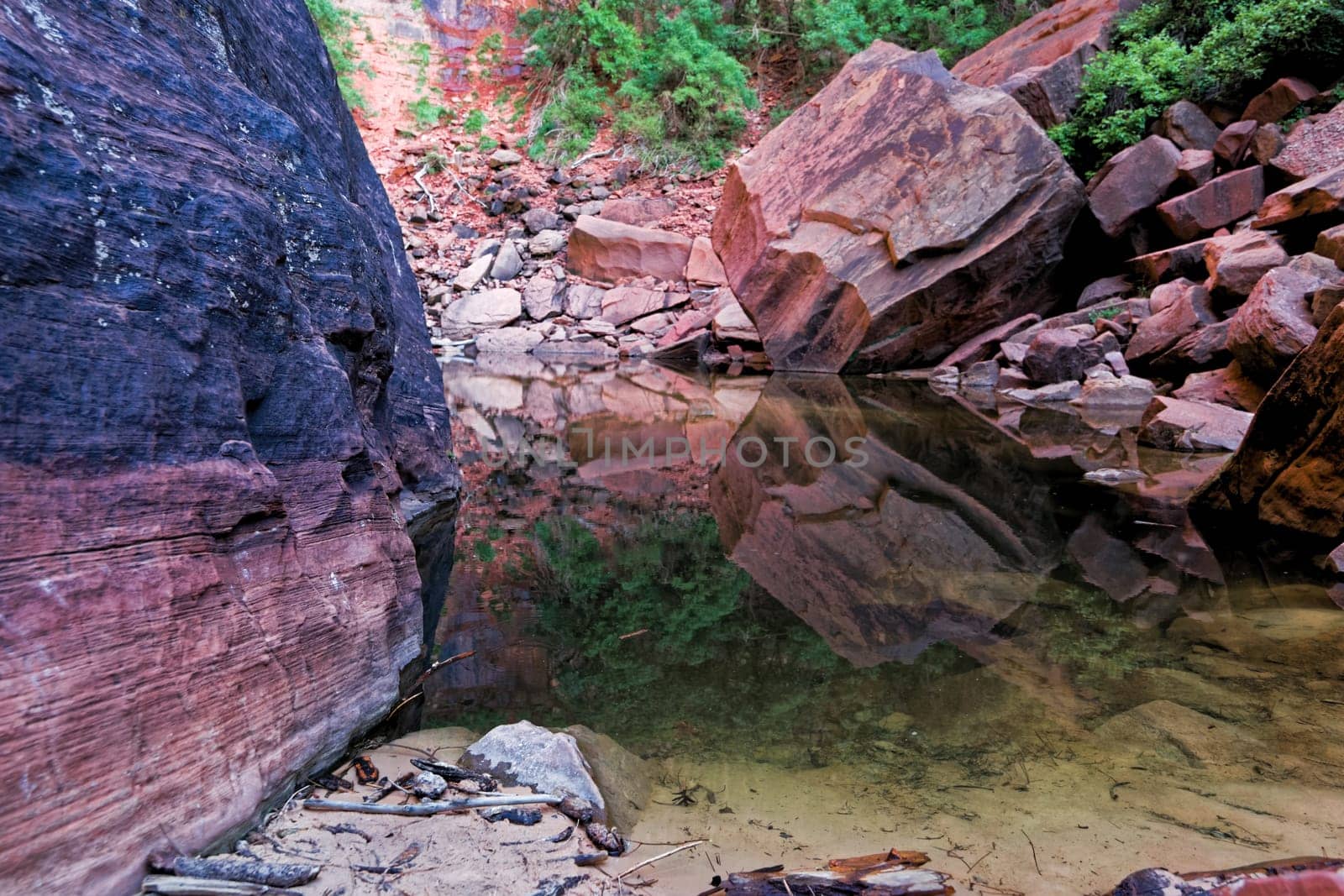 Water reflection of rock mountains in the pond from Upper Emerald Pool Trail, near Zion Lodge, Zion National Park