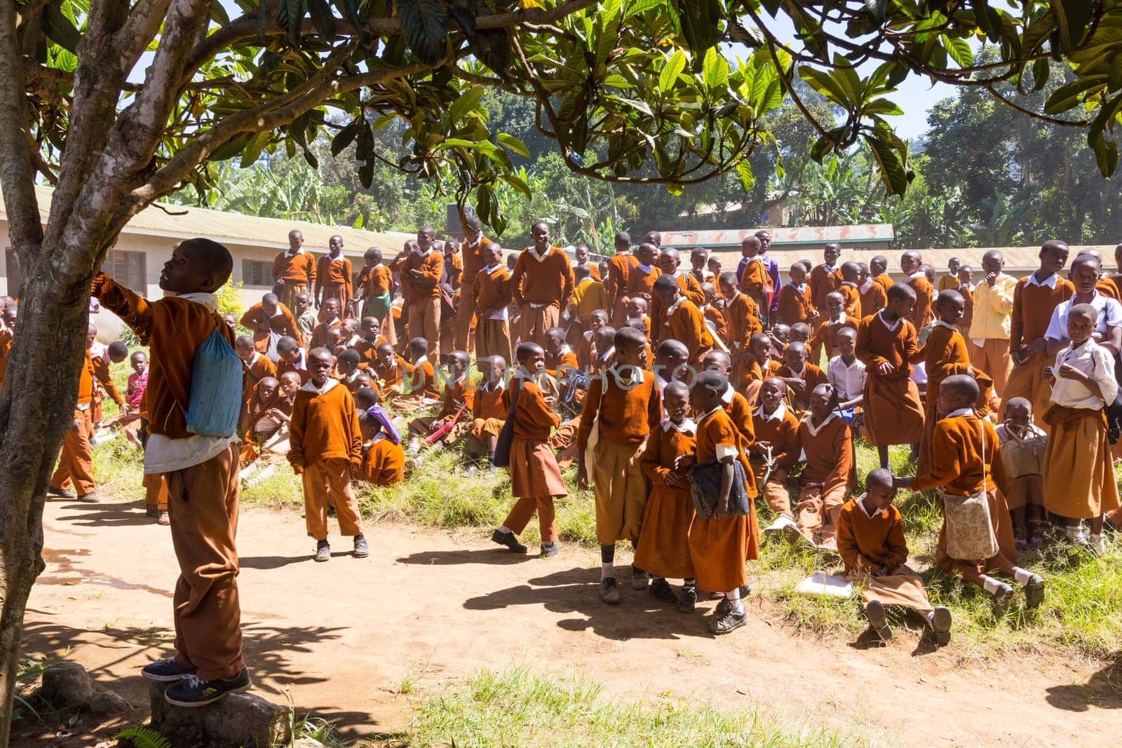 Arusha, Tanzania- Jan 26, 2015: Group of pupils in uniforms being disciplined by teacher in the cortyard of primary school on January the 26th, rural area near Arusha, Tanzania, Africa.