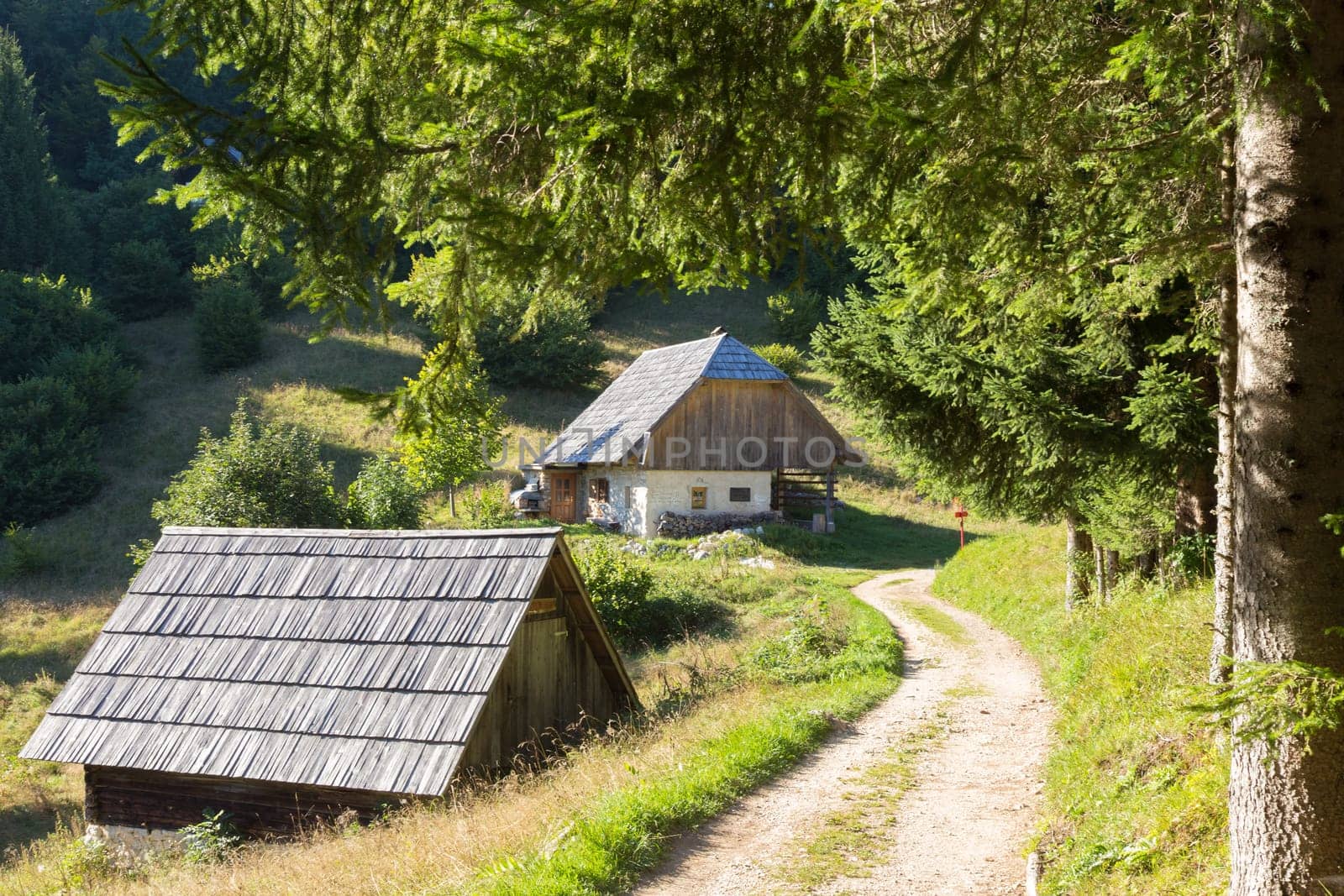 Traditional old wooden hut cabin in mountain alps at rural landscape in slovenian Julian Alps, Slovenia.