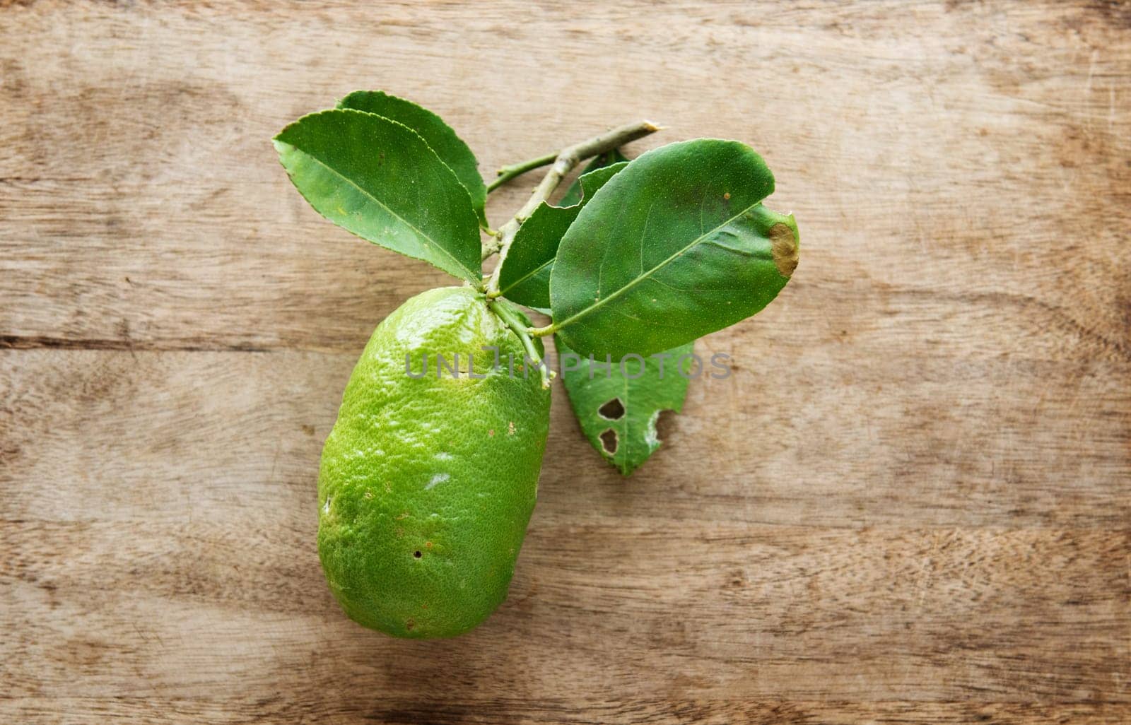 Top view fresh organic lemon with leaves on wooden table background, imperfect insect bites, pesticide free.