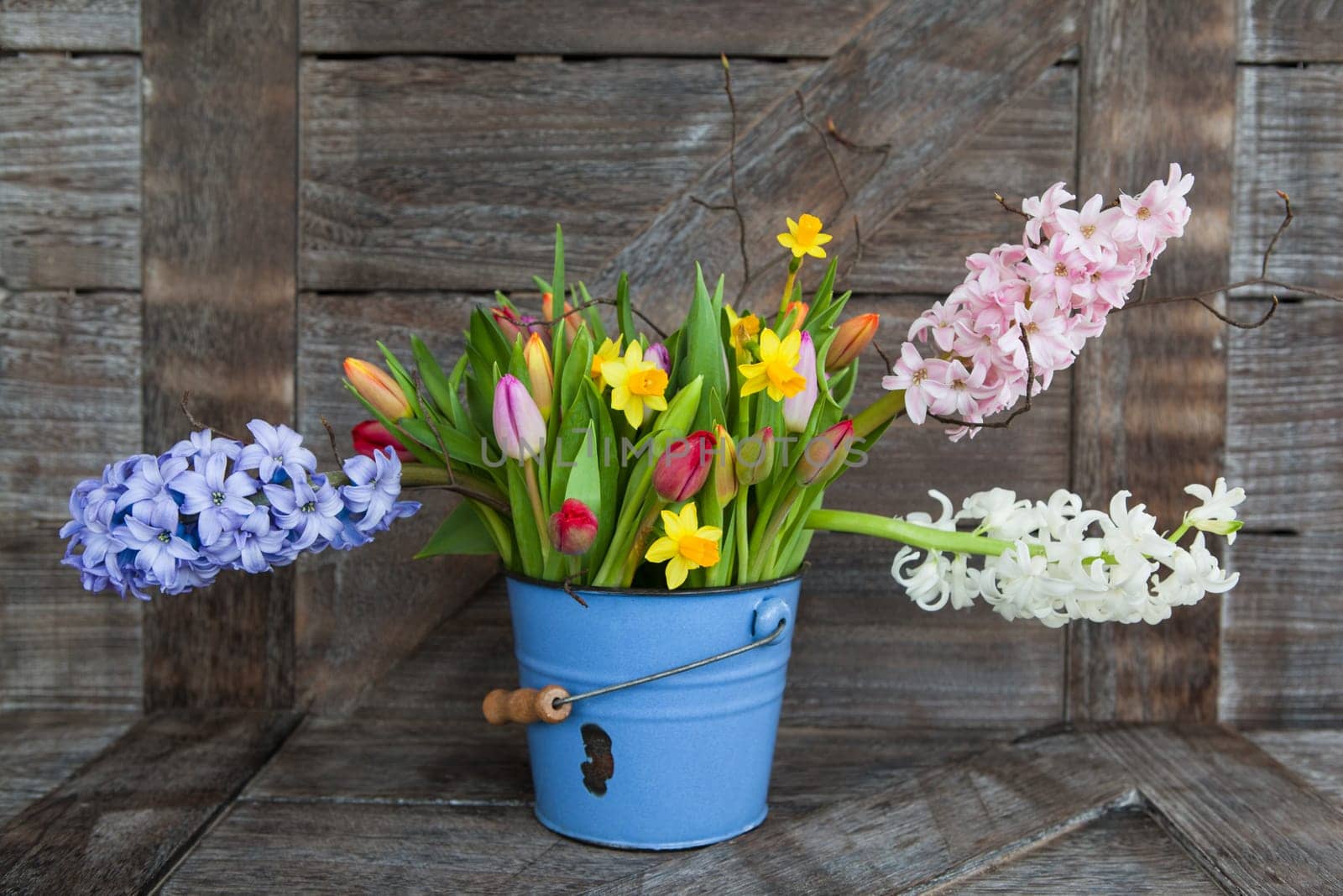 Colorful spring flowers in blue bucket on background of rustic wood