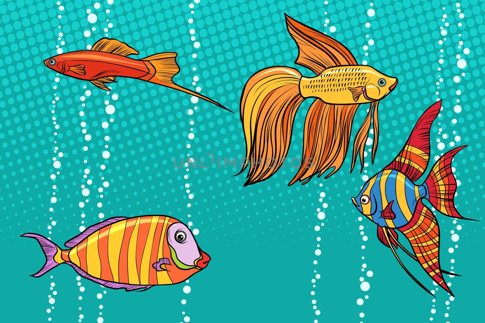 Set collection of aquarium fish. Pop art retro vector illustration