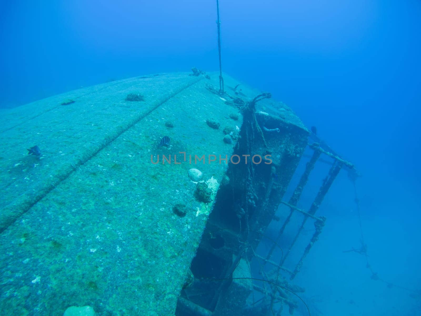 ship wreck Hilma Hooker Bonaire island caribbean sea underwater