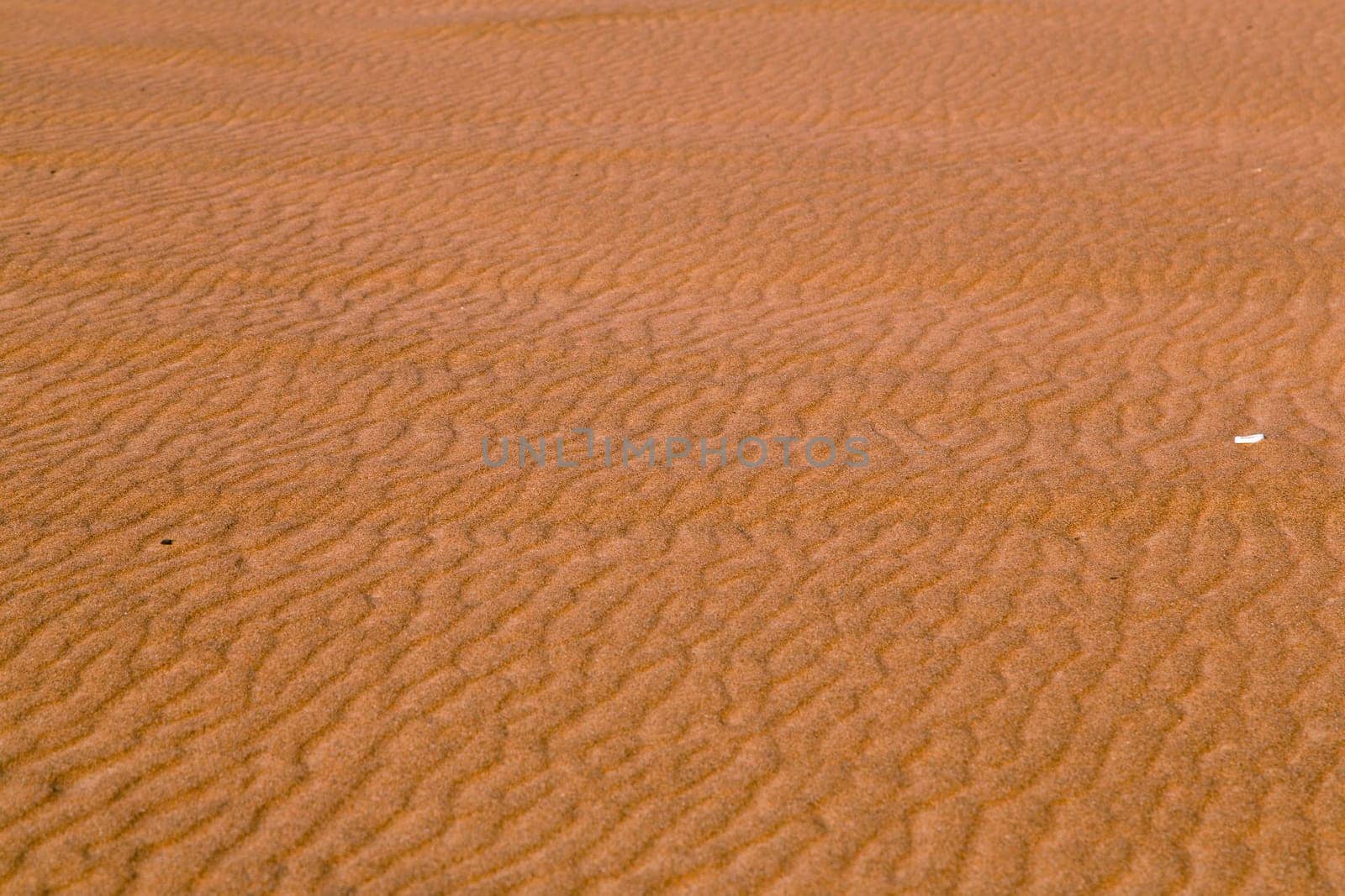 The Red sand of the Pink Rock Desert, Sharjah, Dubai, UAE
