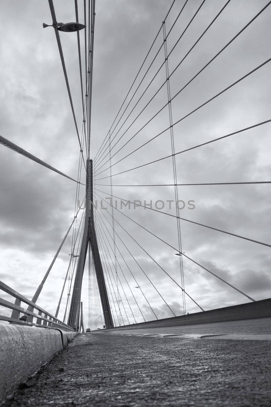 The bridge Pont de Normandie crosses the Seine river near Le Havre