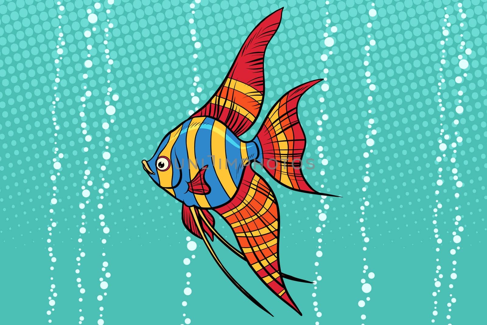 Freshwater angelfish aquarium fish. Pop art retro vector illustration