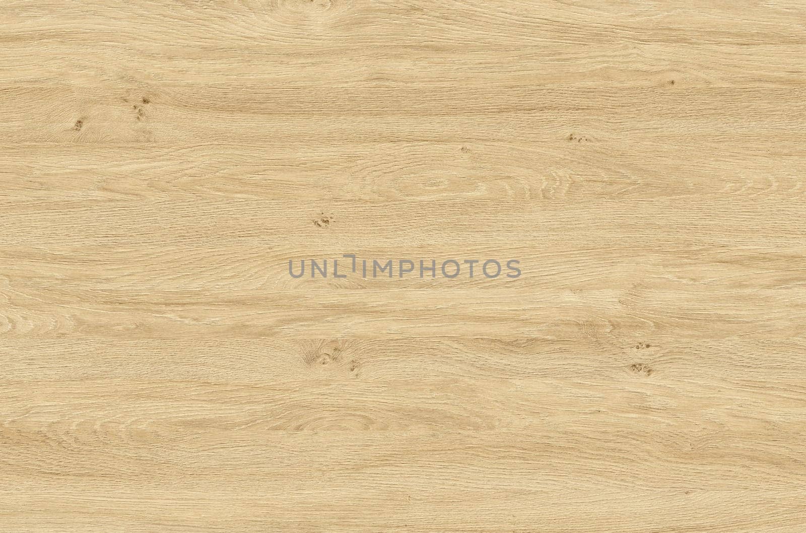 Brown wood texture. Abstract wood texture background.