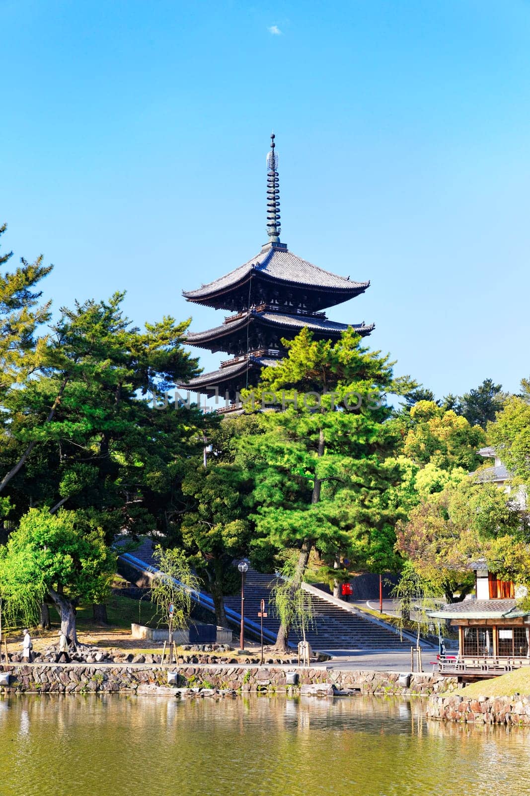 wooden tower of To-ji Temple in Nara Japan is the largest temple pagoda in the country at a height of 54.8 meters.