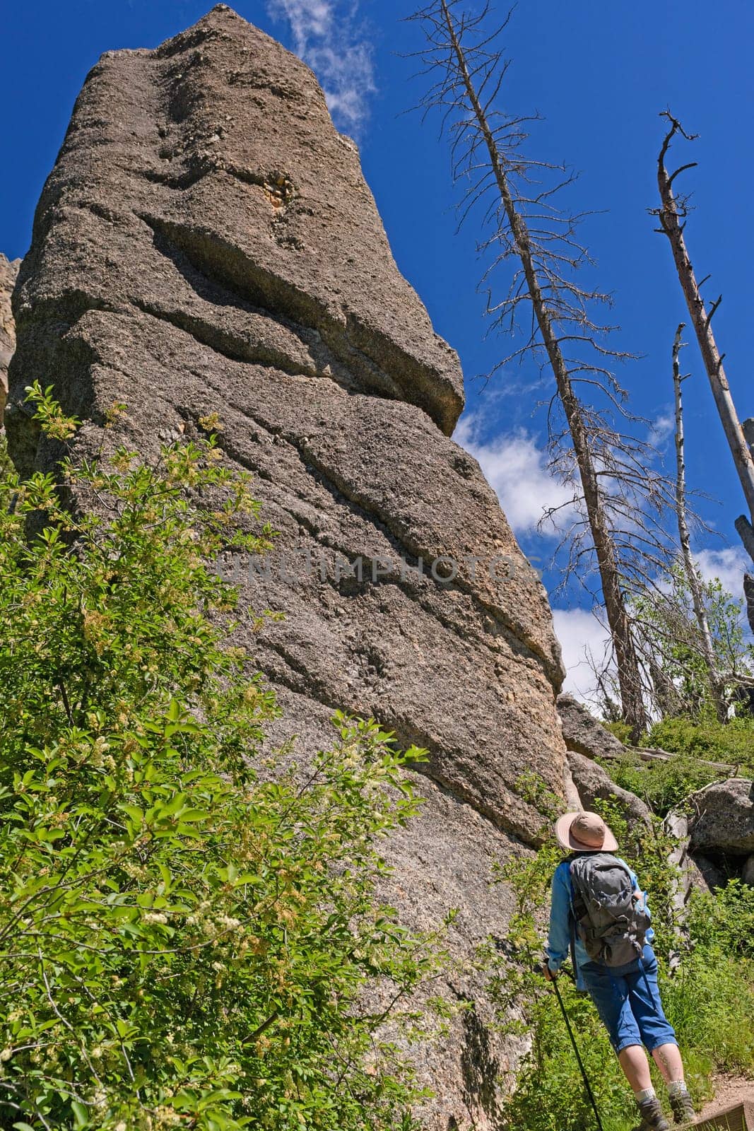 Looking up at a Tall Pinnacle in the Needles section of Custer State Park in the Black Hills in South Dakota