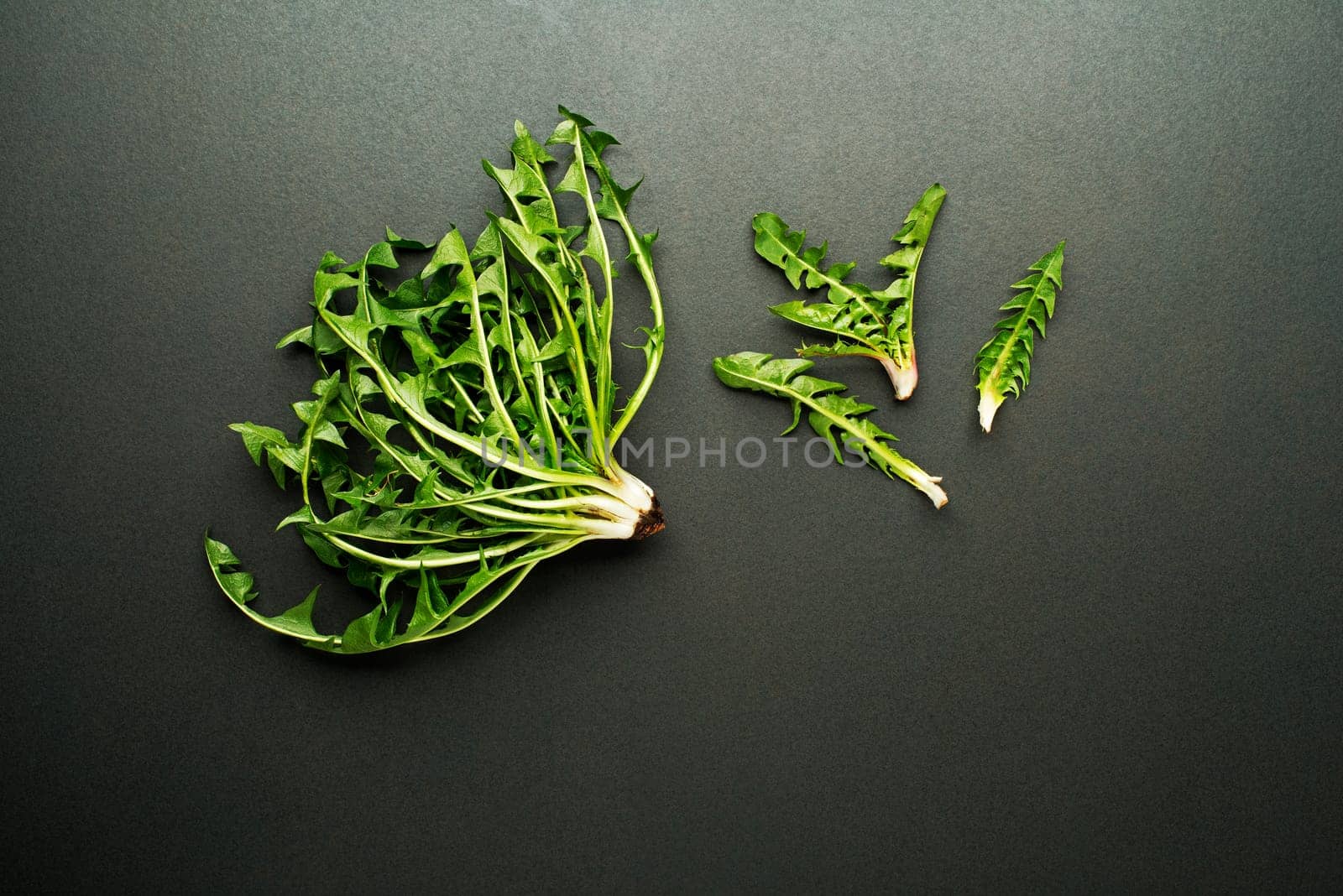Fresh dandelion on black background overhead shoot