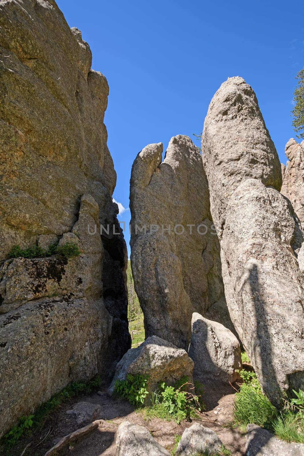 Narrow Path Between the Rocks near the Cathedral Peaks in Custer State Park in Black Hills in South Dakota