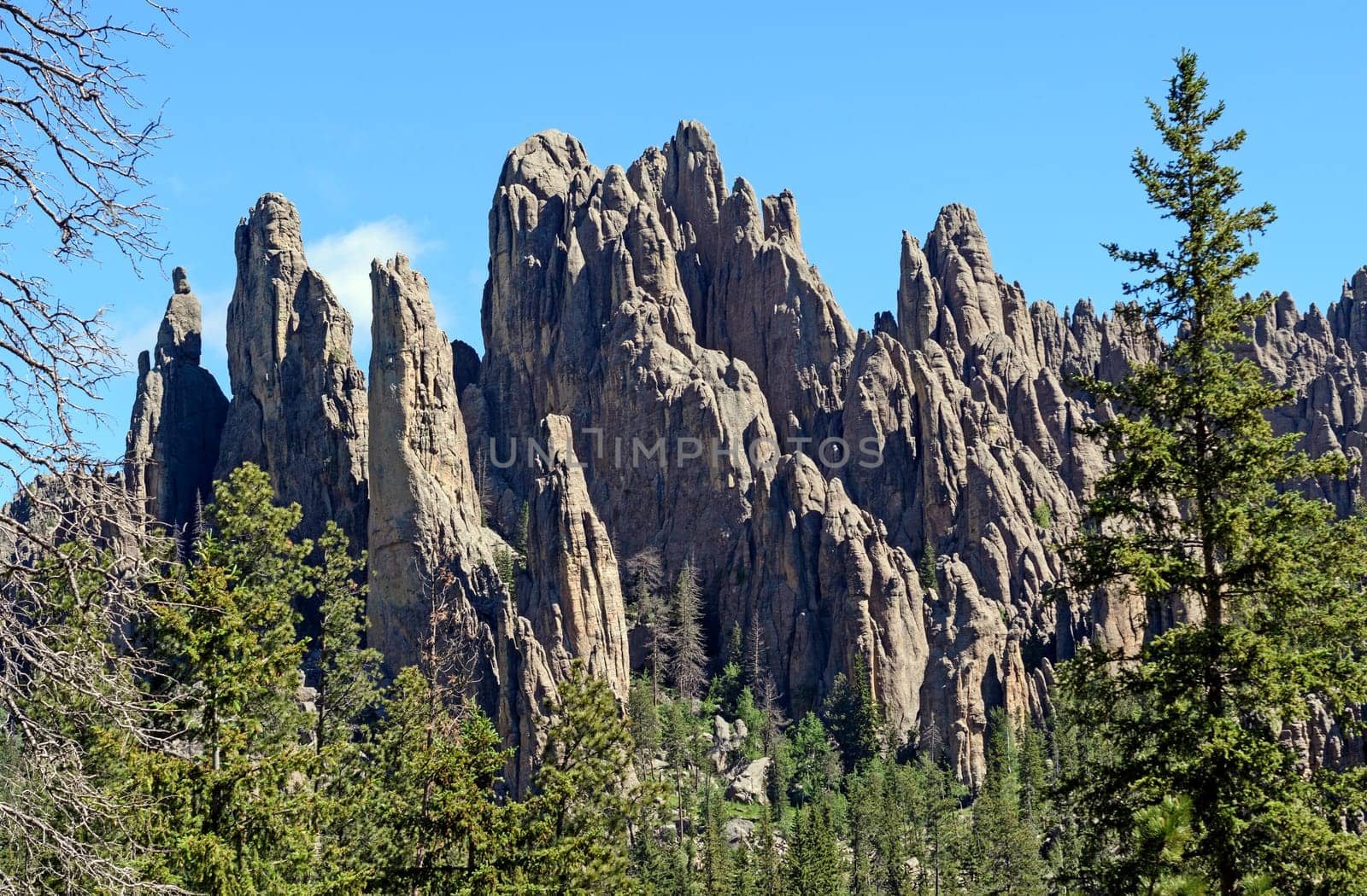 Dramatic Pinnacles in the the Black Hills of South Dakota in Custer State Park